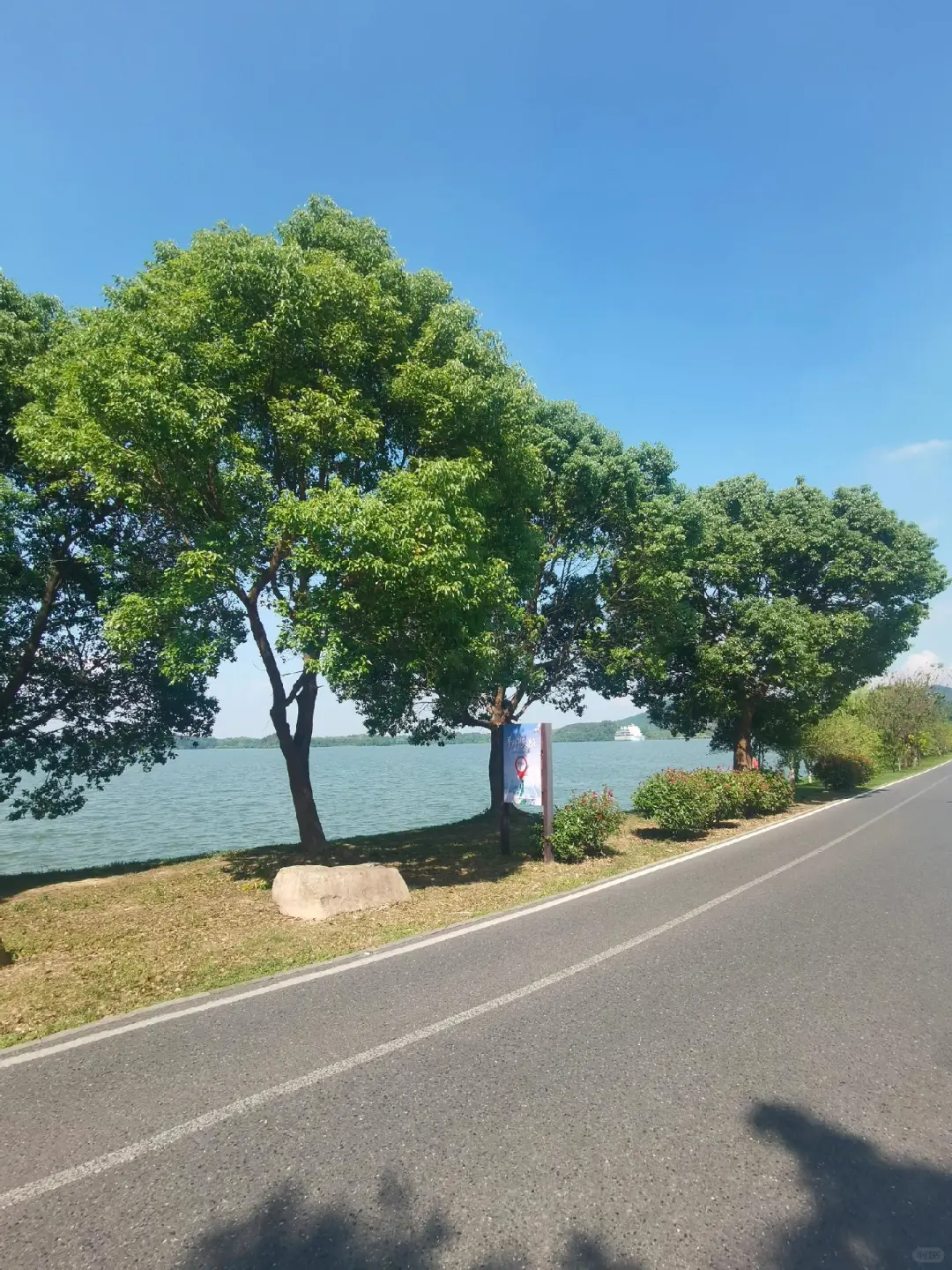 江浙沪周边游|4⃣️条春日路线,周末出发