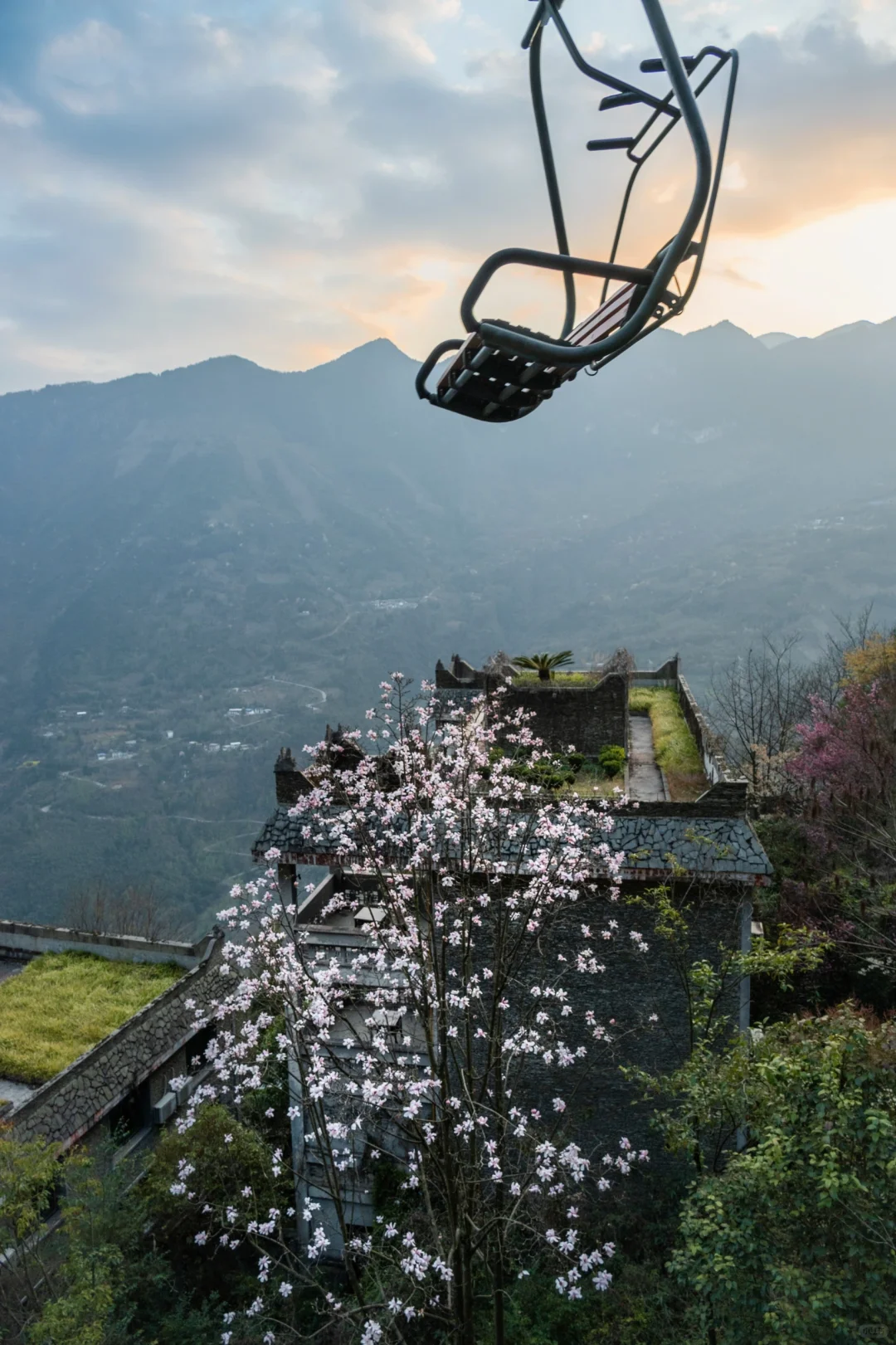 四川春日徒步天花板!爬悬崖天梯赏辛夷花海