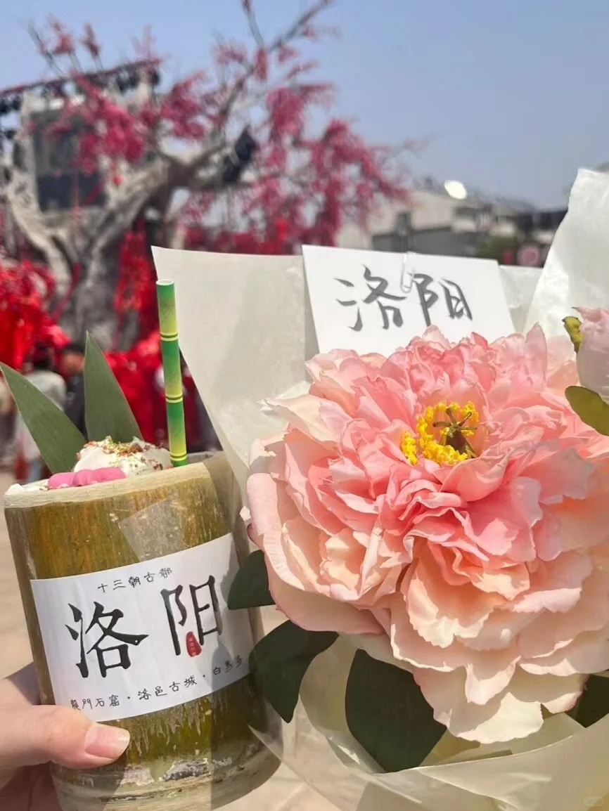 25年洛阳牡丹花卉您准备去哪