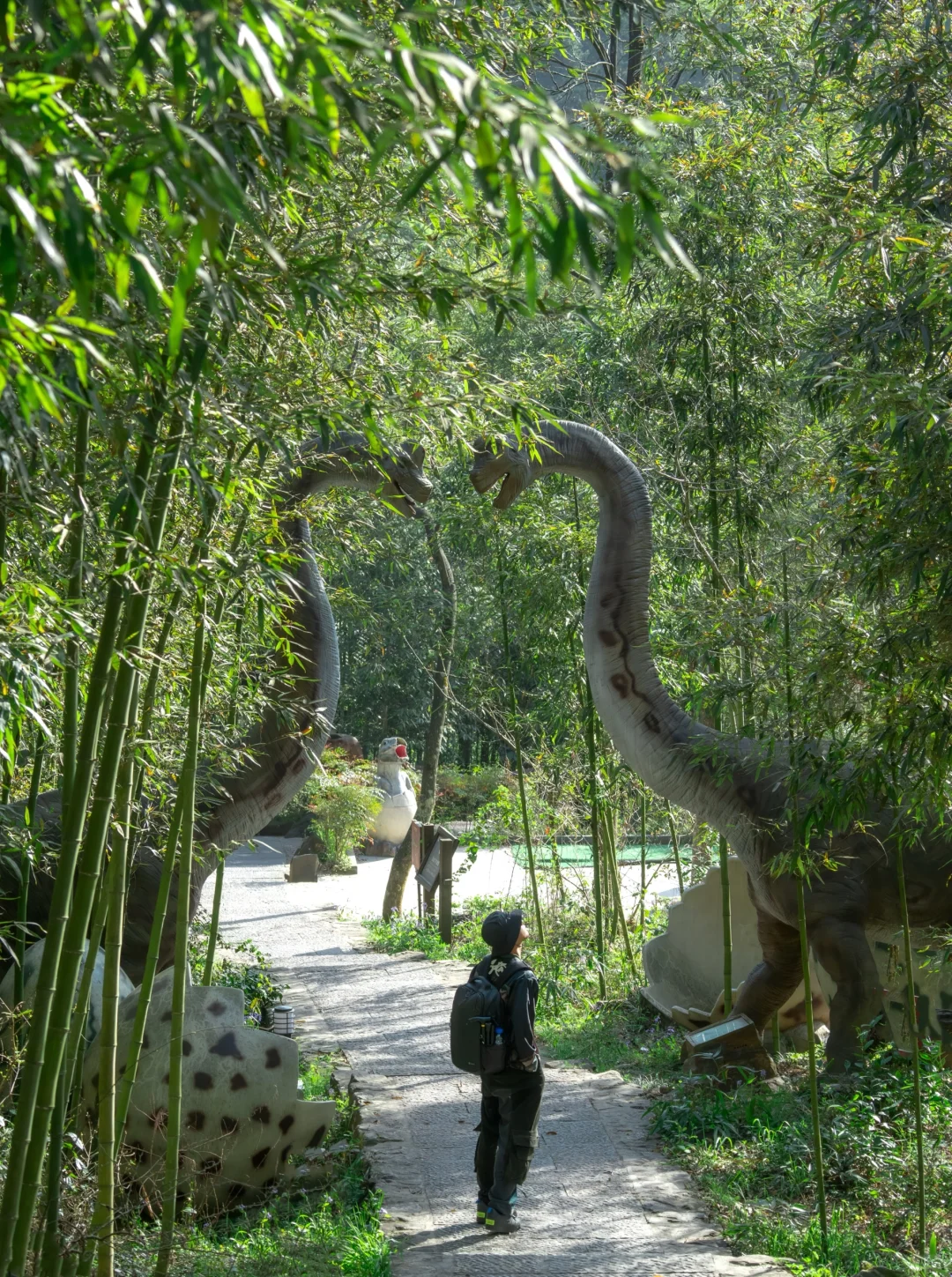 杭州上春山⛰️去大山深处赴一场天空之约☁️
