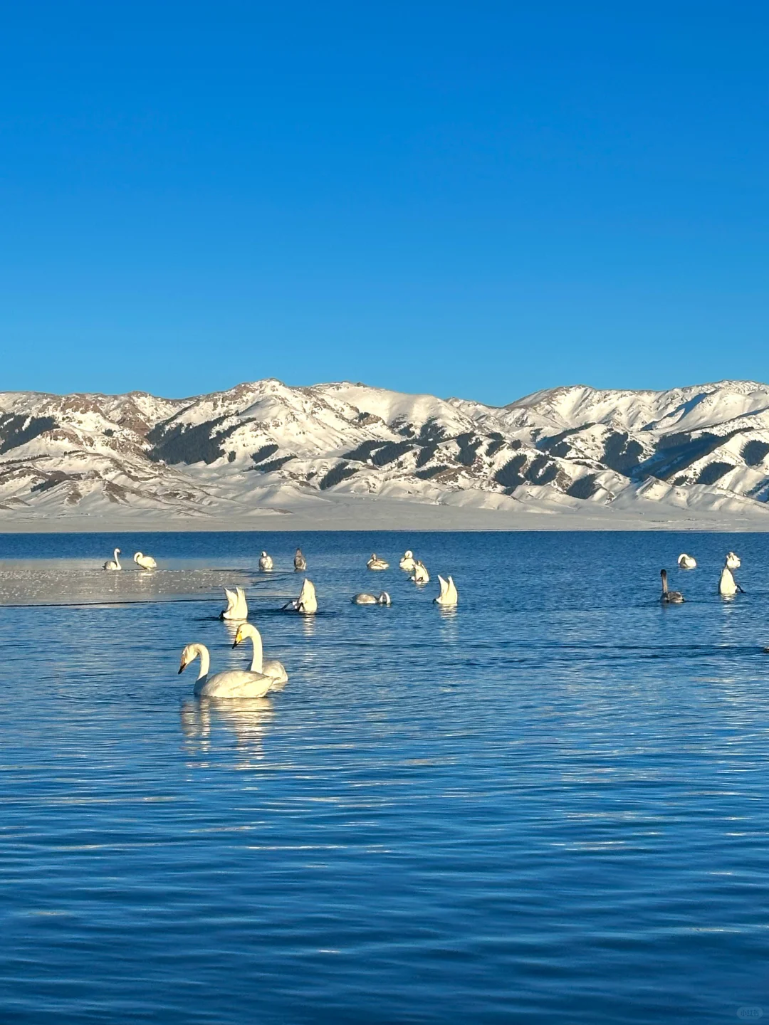 3.18📍赛里木湖已回，live实况直出，劝退不了