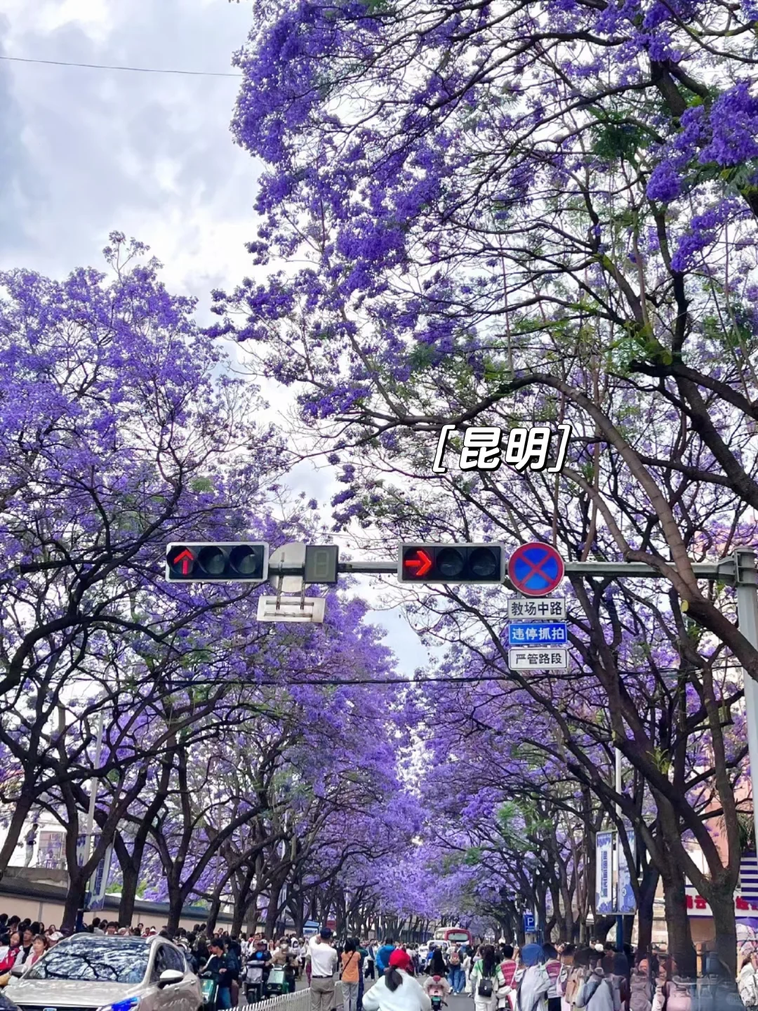 ‼️邯郸石家庄出发丨春天🌸出游好去处