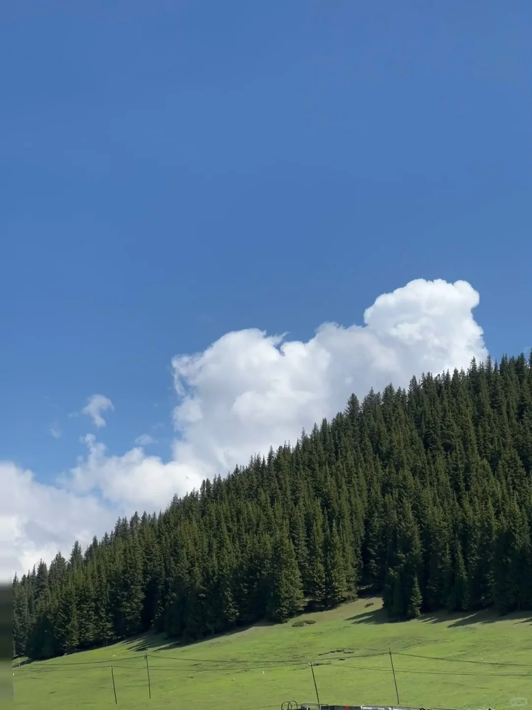 不是国外！北京出发4h📕跟风最成功的一次！😭