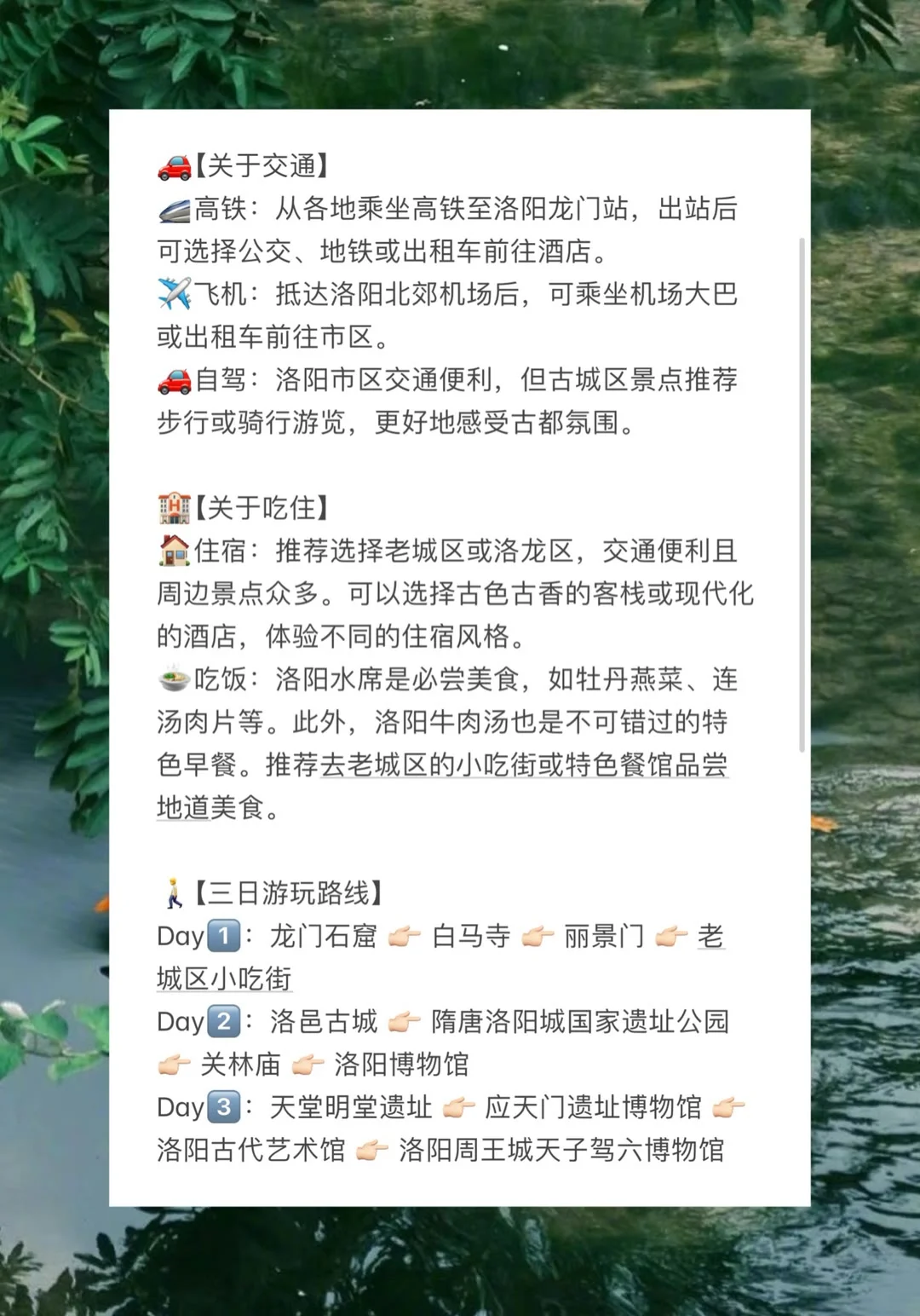 四月洛阳封神！一生必去的宝藏地‼️