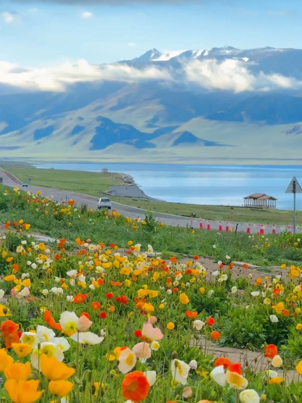 💬“新疆的辽阔，是连风都自由的地方。”