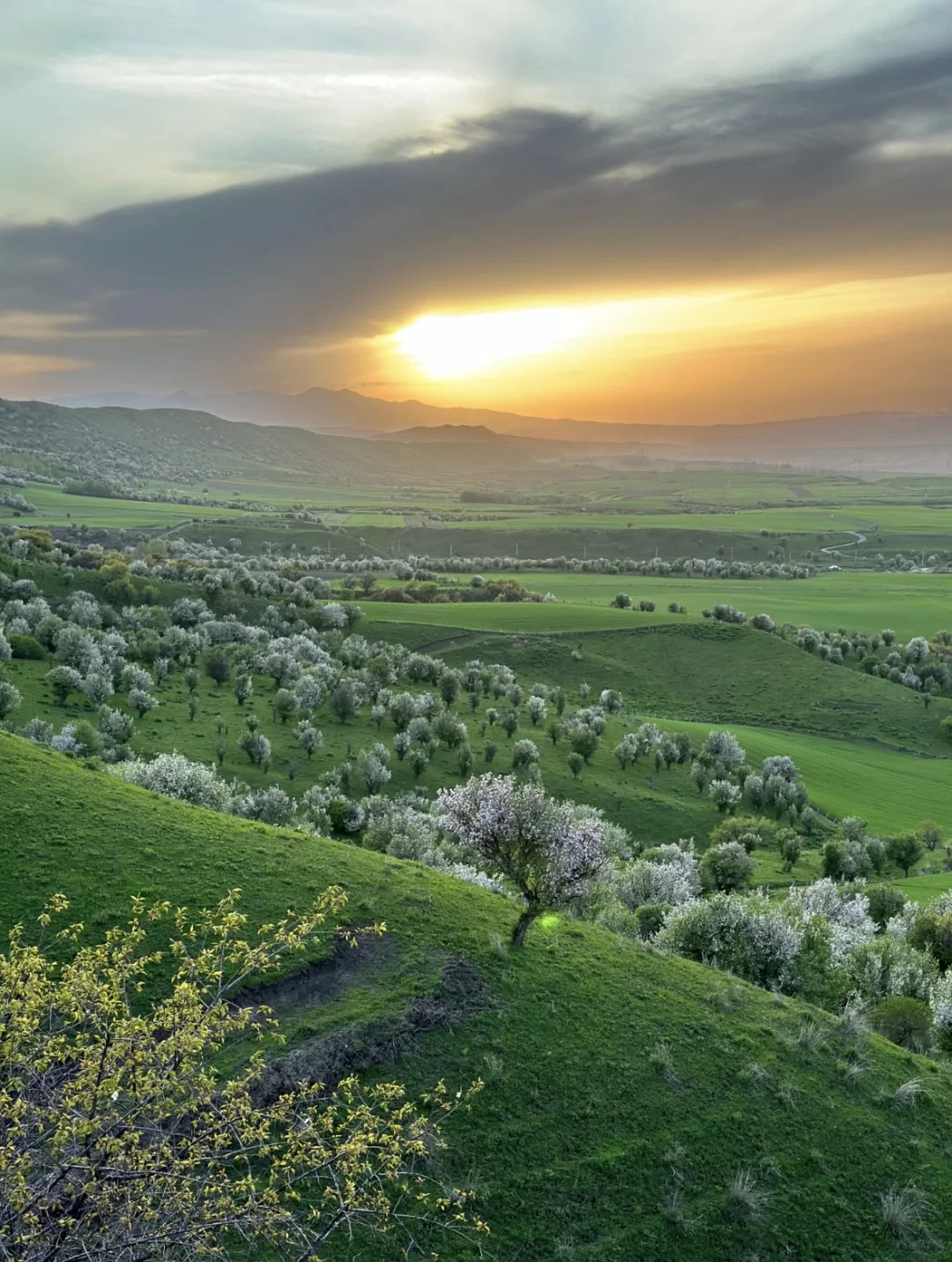 💬“新疆的辽阔，是连风都自由的地方。”