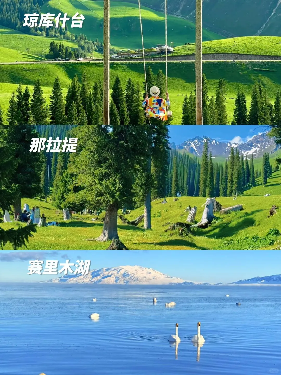 新疆旅行 | 北疆环线包车游🎈路线建议