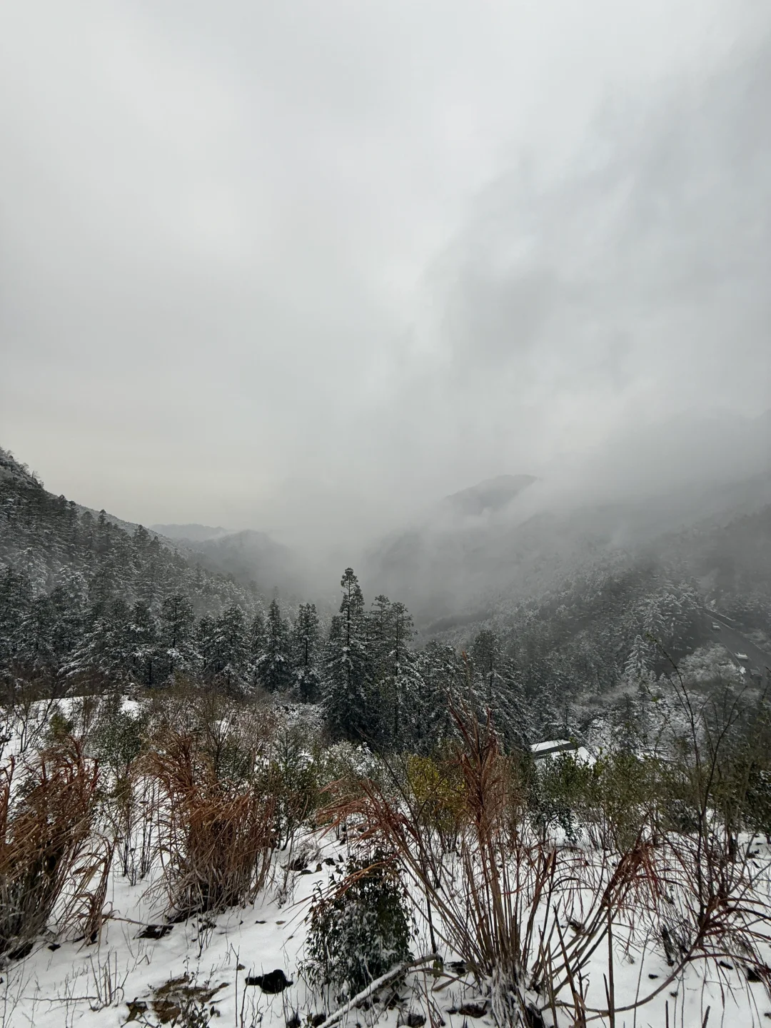 🏔️瑶里下雪啦❄️(๑･ω･)