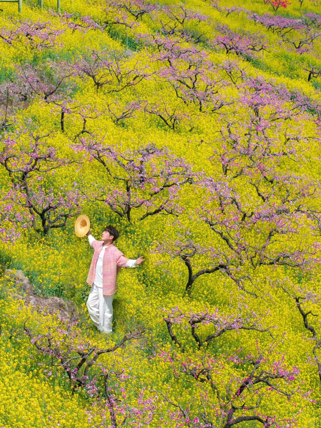 不在婺源，在湖州，坐上开往春天的漫画小火车