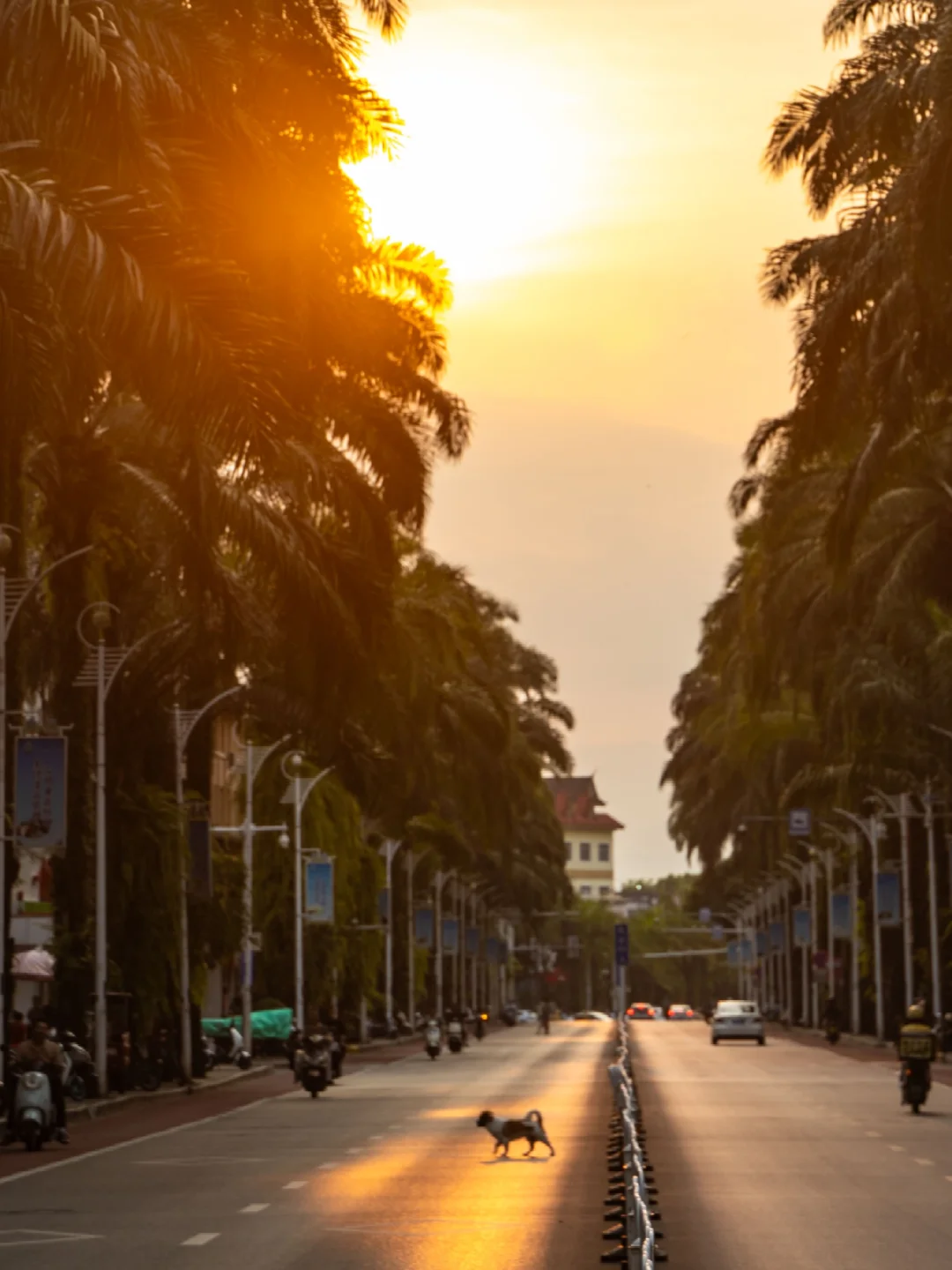 芒市超全3天2晚旅行攻略‼️一点雷没踩