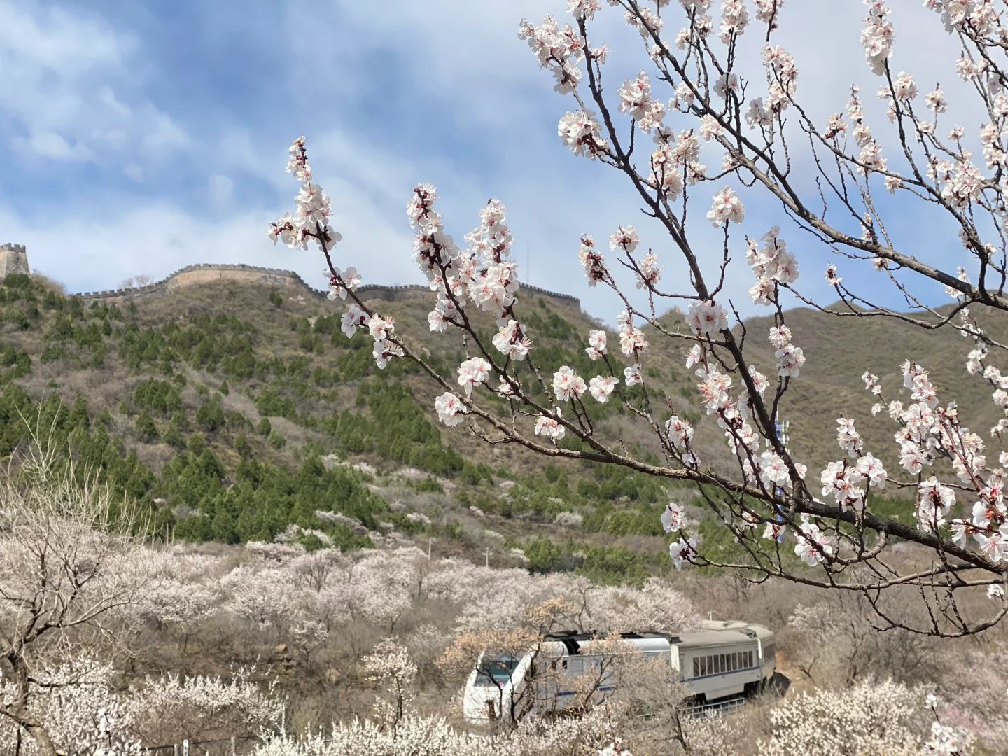 居庸关花海小火车手机原图直出03/29