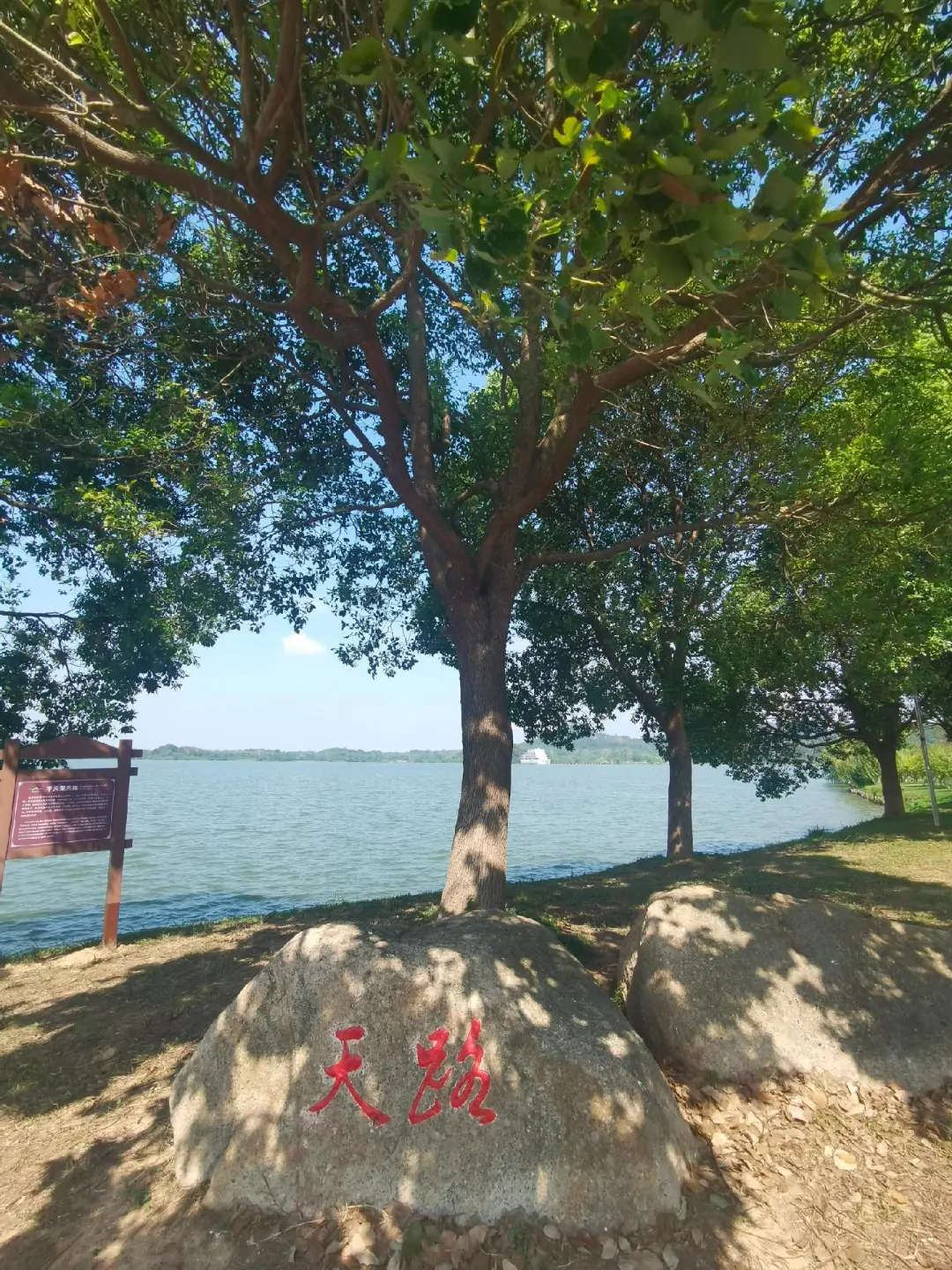 江浙沪周边游|4⃣️条春日路线,周末出发