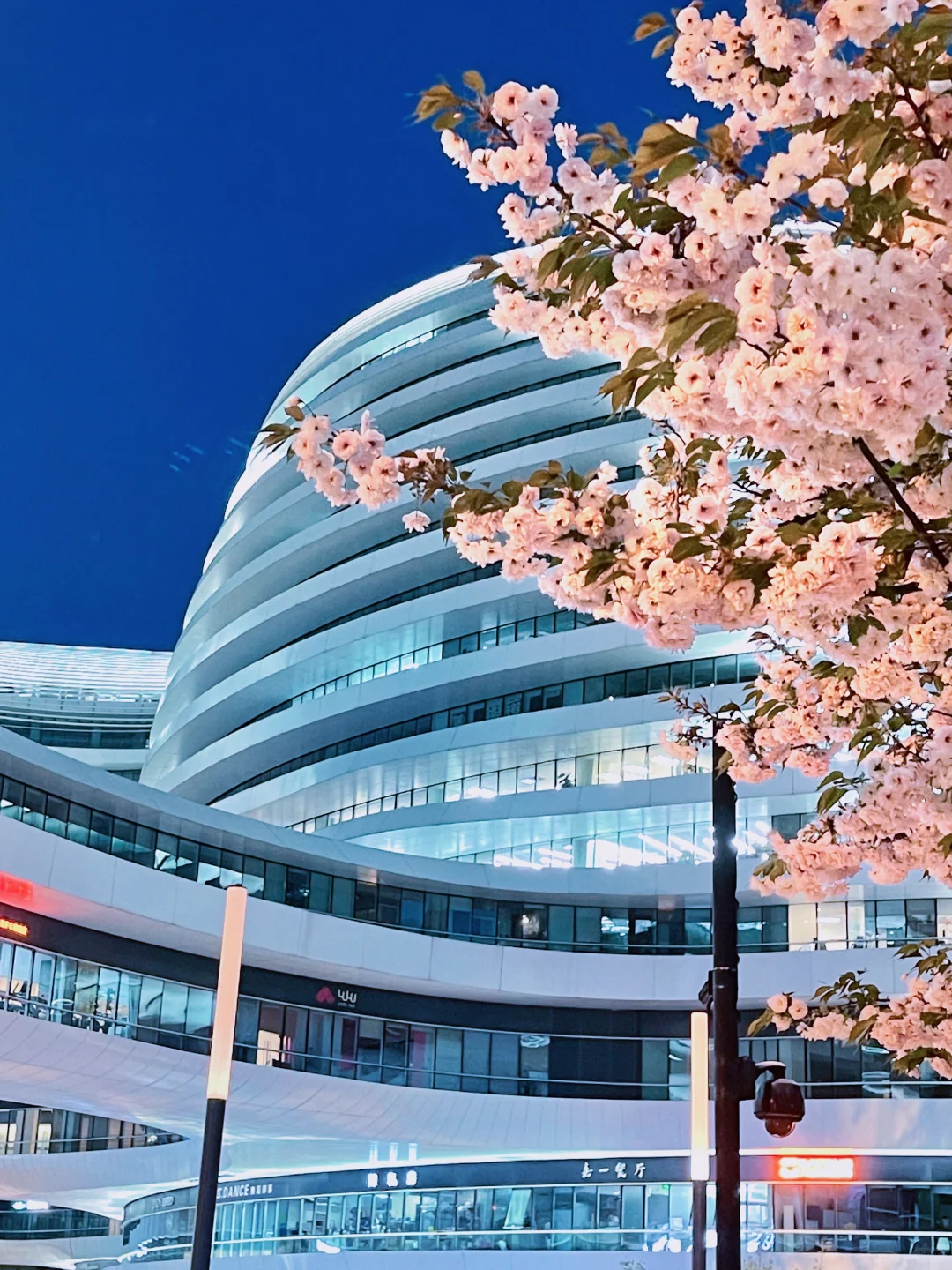 夜游北京🌷4月这里我愿称之郁金香最佳机位