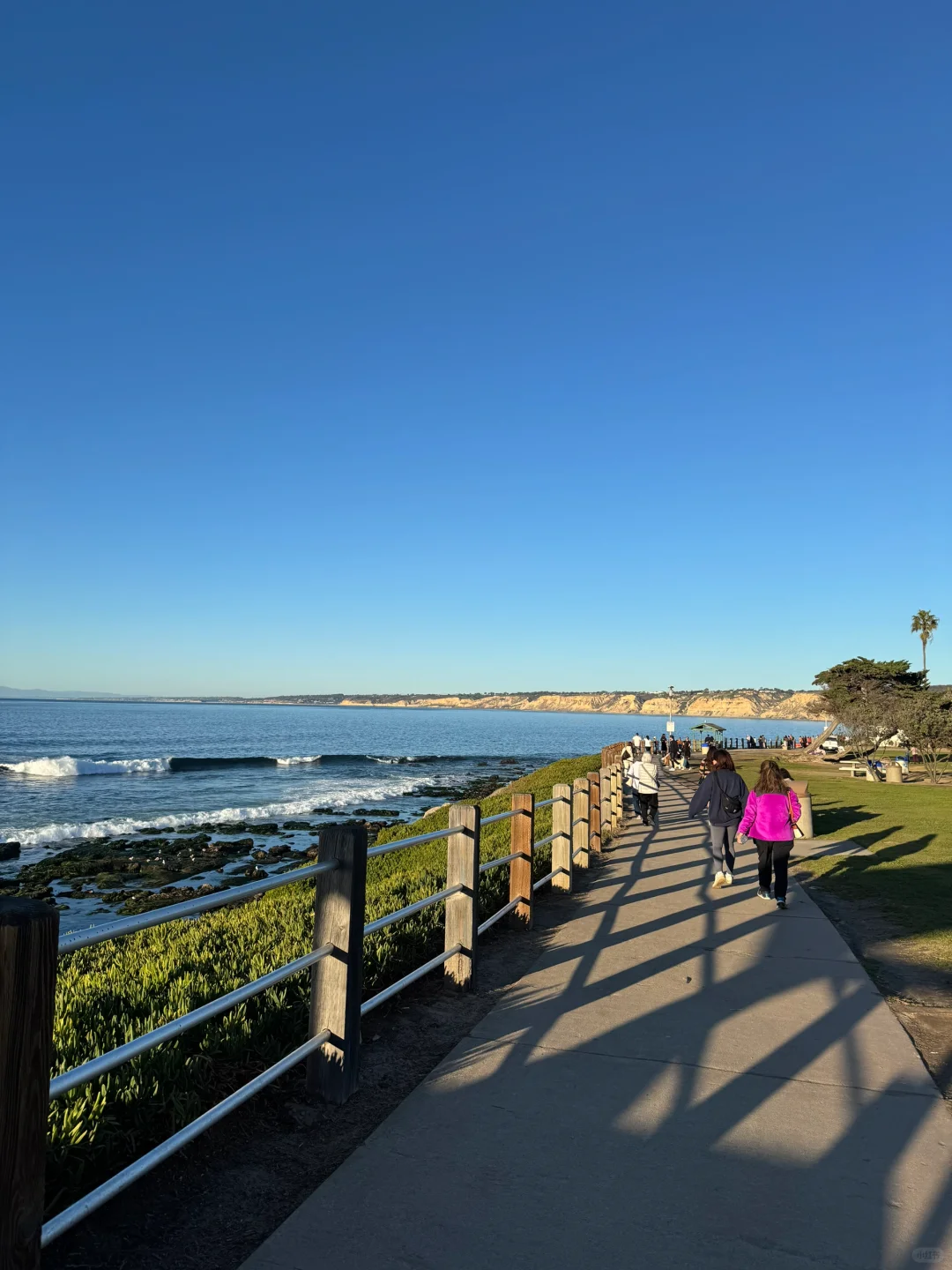 美国｜圣地亚哥La Jolla Cove🦭海狮太可爱啦