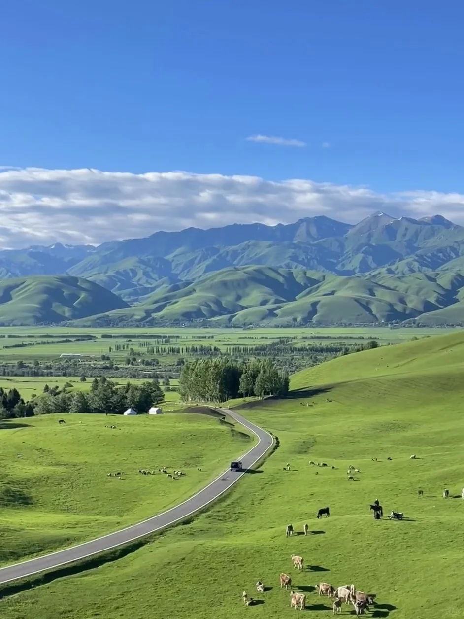💬“新疆的辽阔，是连风都自由的地方。”