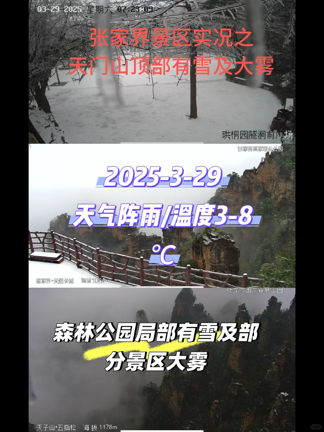 张家界景区实况2025年3月29日