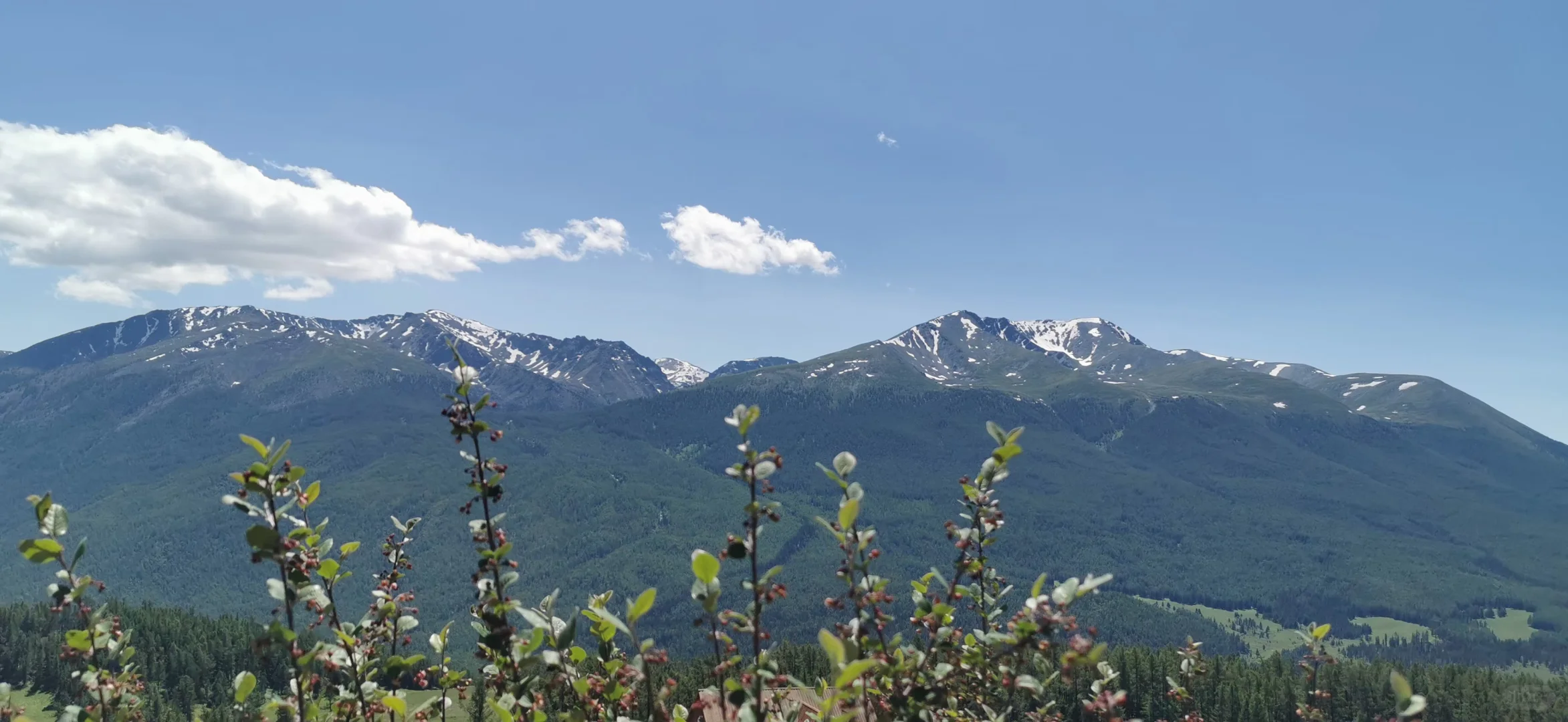 下一站，不告诉你