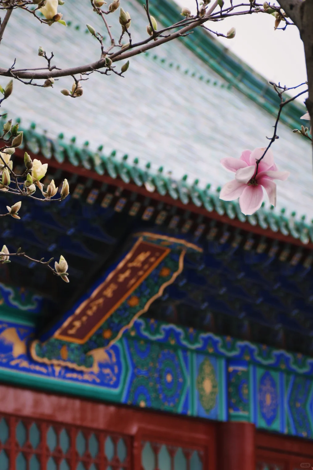 邯郸只有这里配的上“春和景明”