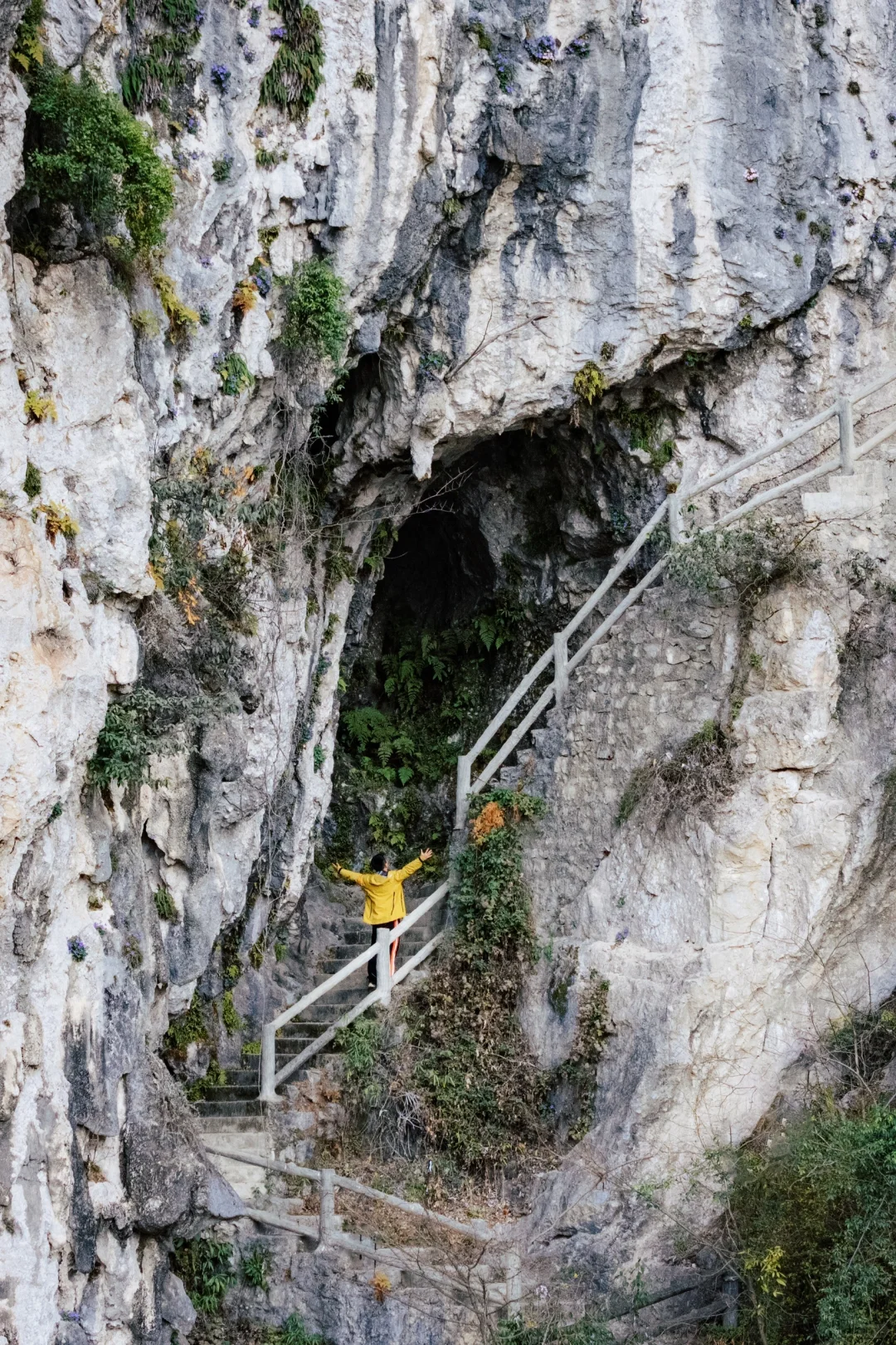 四川春日徒步天花板!爬悬崖天梯赏辛夷花海