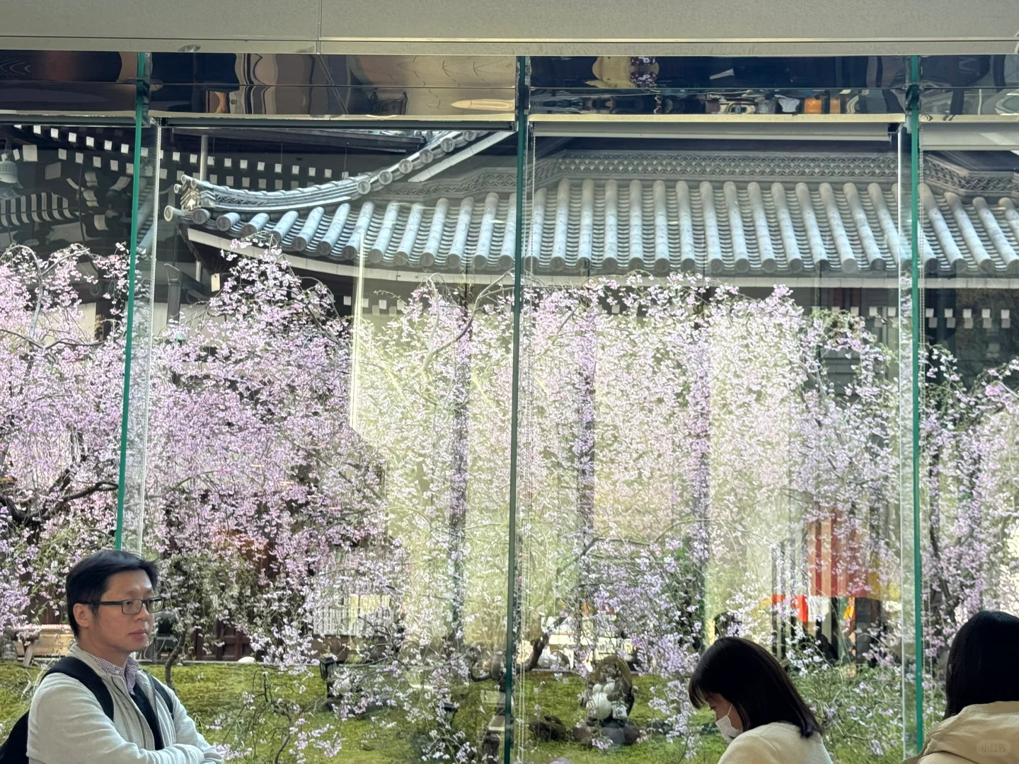 京都｜Sakura🌸
