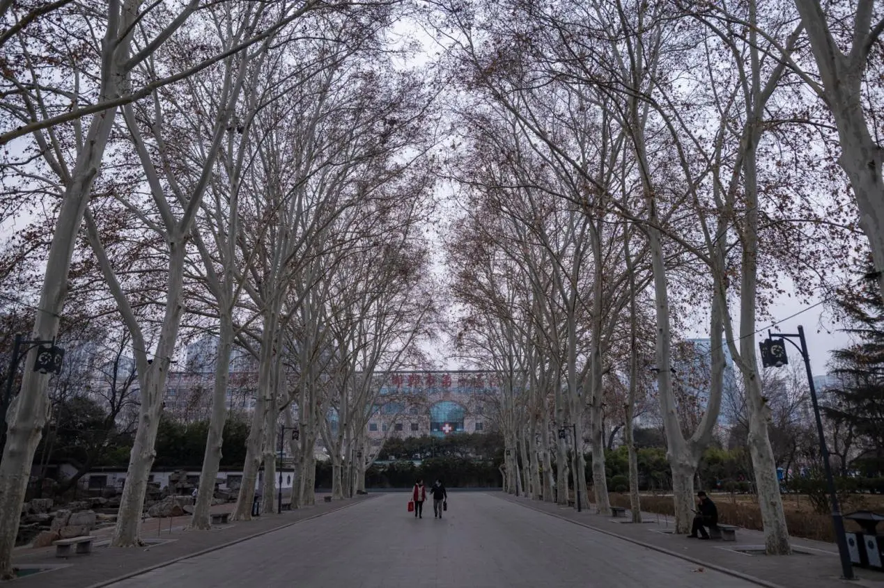 邯郸清明攻略，带你玩转历史名城📚