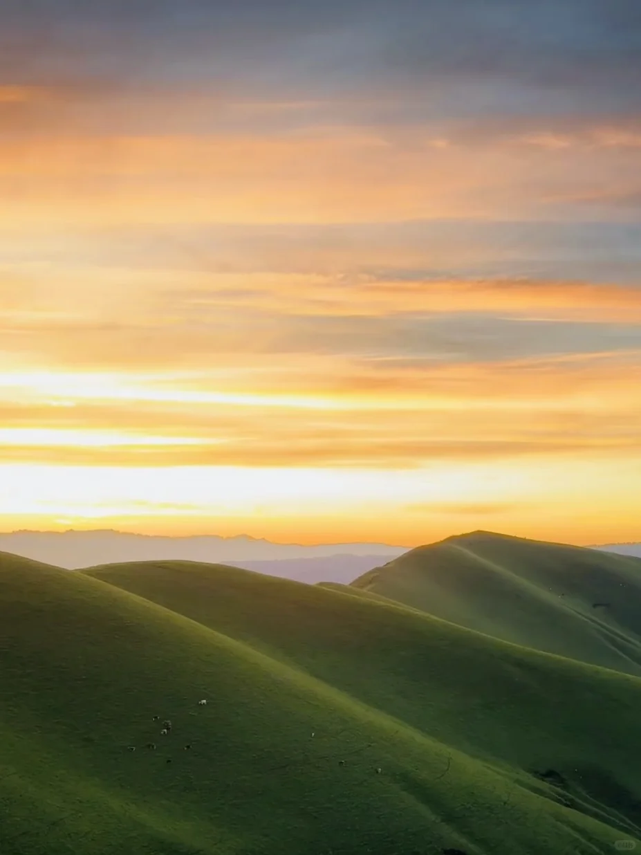 💬“新疆的辽阔，是连风都自由的地方。”