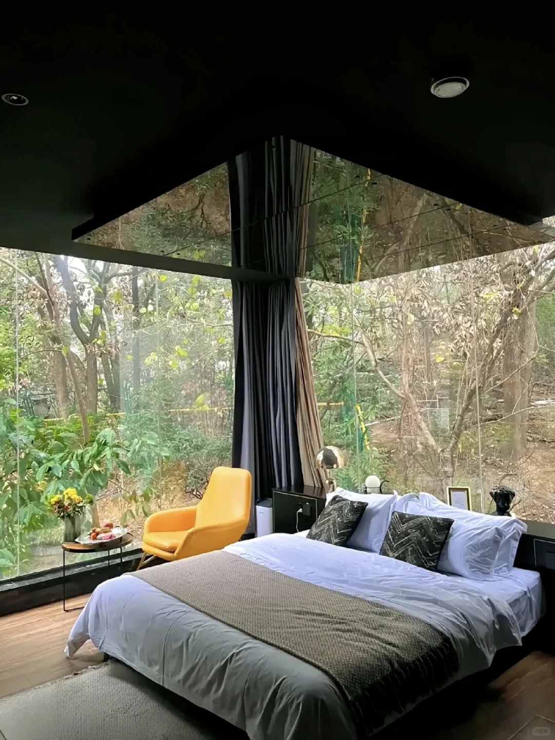 广东小瑞士🇨🇭跟家人来住了三次😭不想走