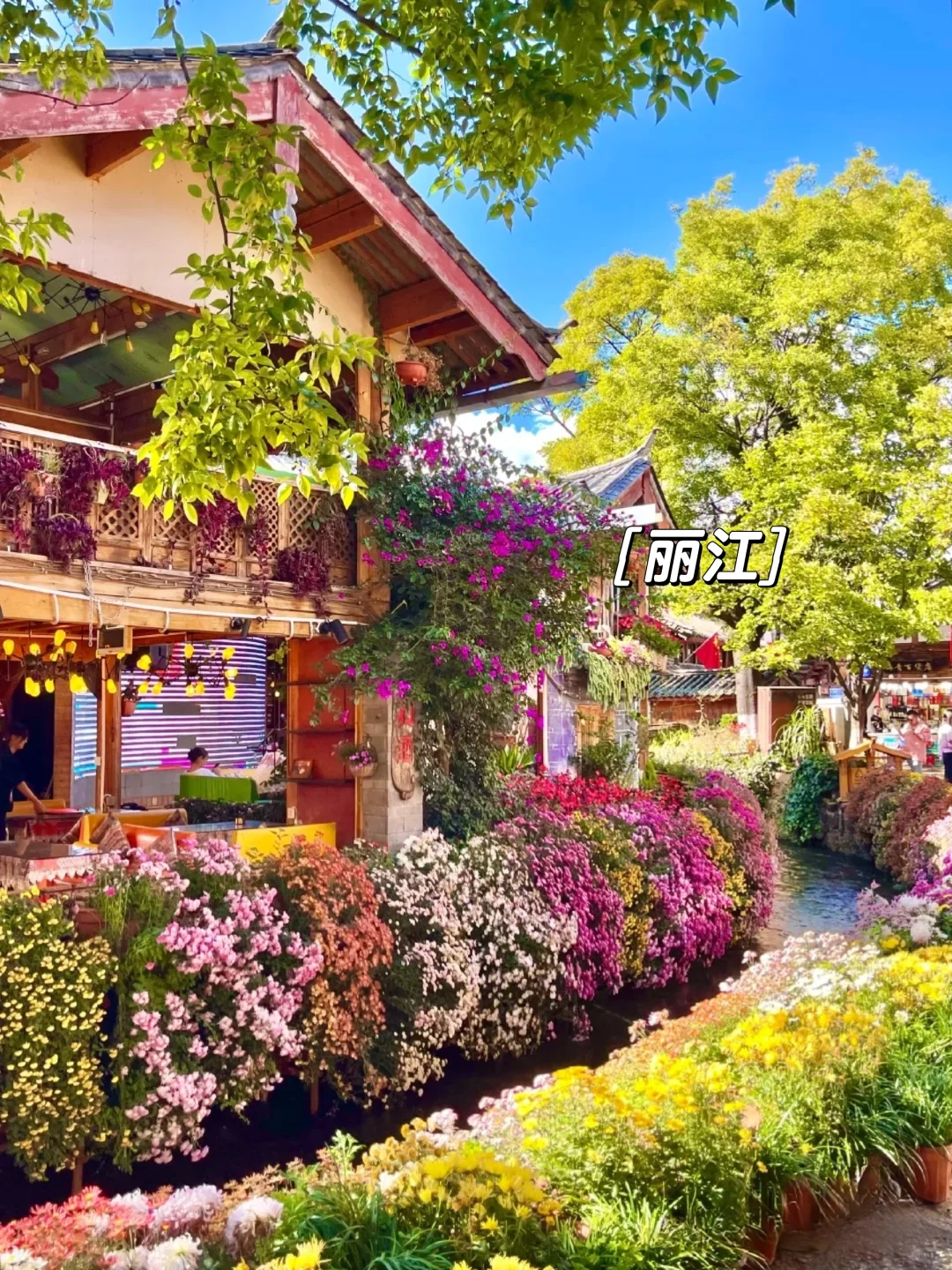 ‼️邯郸石家庄出发丨春天🌸出游好去处