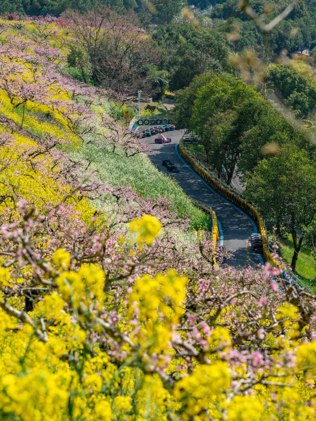🌸千亩桃花坠入仙境｜城山沟乐园嗨翻天