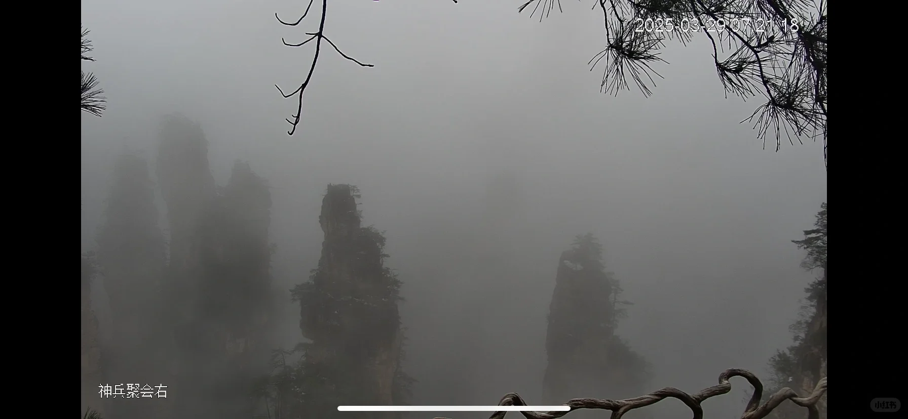 张家界景区实况2025年3月29日