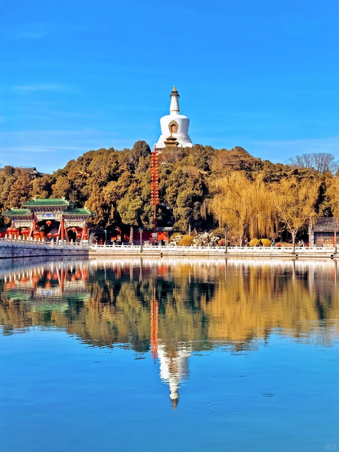 烟花三月下北海,不愧是老祖宗的🌸园!