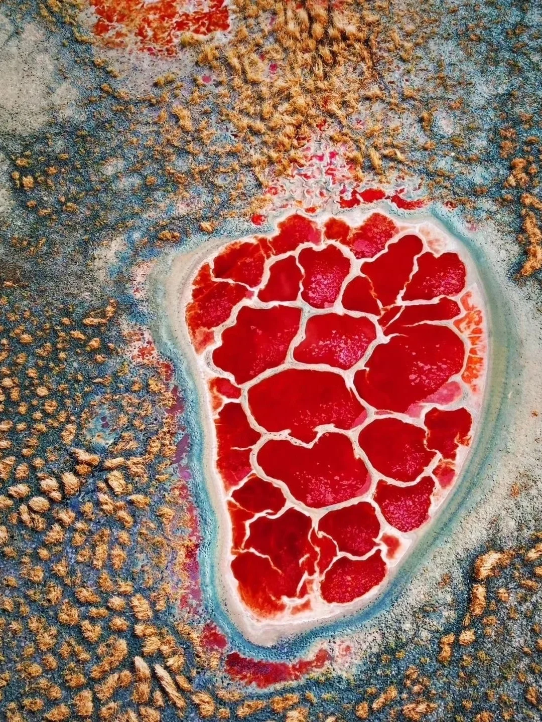 宁夏银川旅行｜9个必打卡景点，不冲亏大了