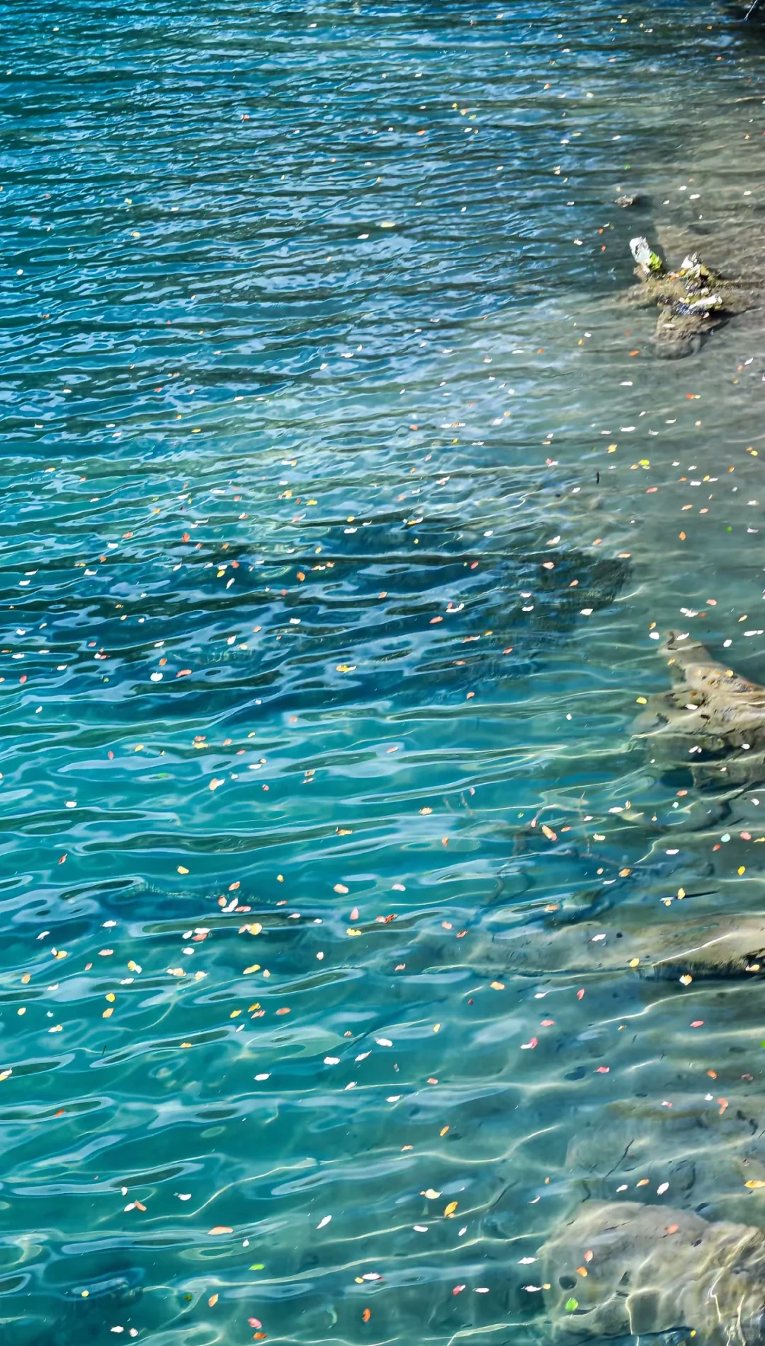 原图直出的人间仙境，不愧是5A级景区天花板