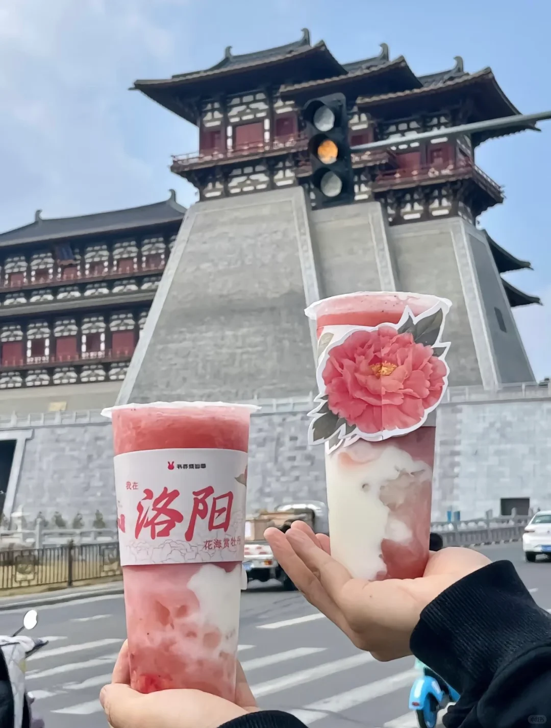 四月我要去洛阳谁也拦不住我🐛