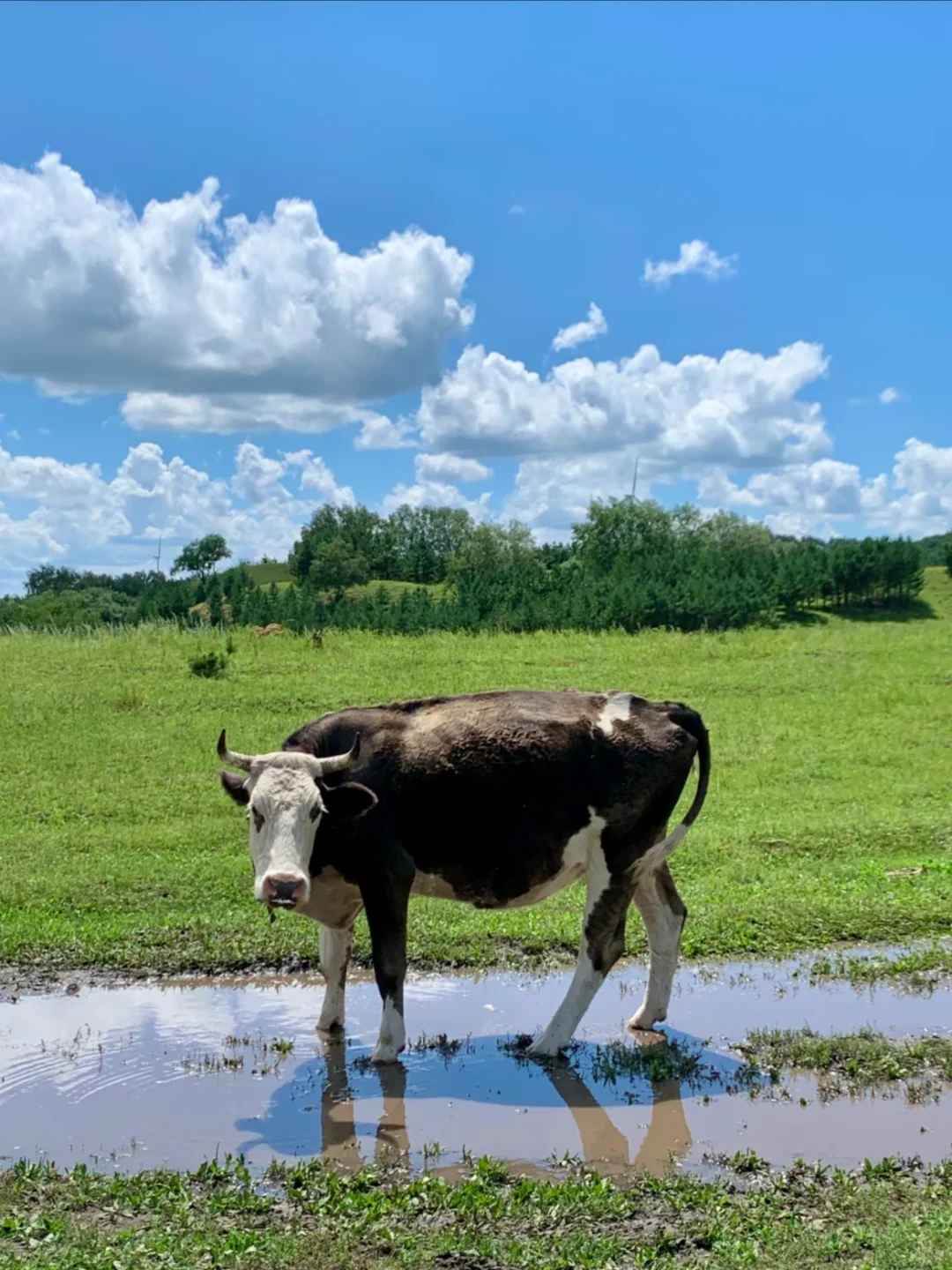 不是国外！北京出发4h📕跟风最成功的一次！😭