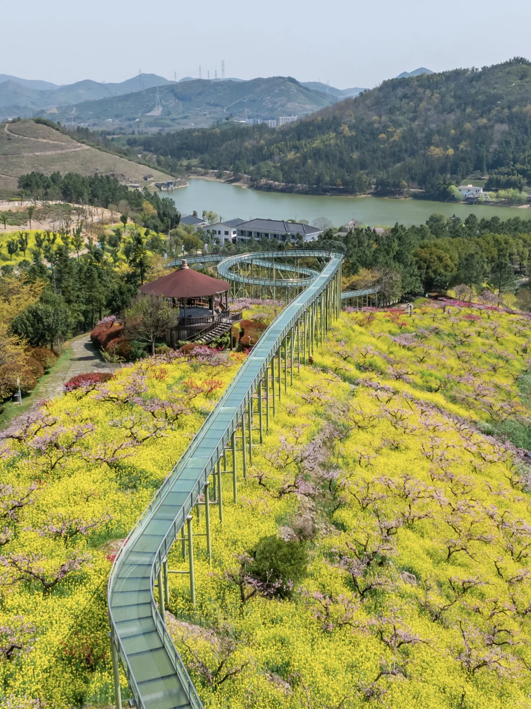 🌸千亩桃花坠入仙境｜城山沟乐园嗨翻天