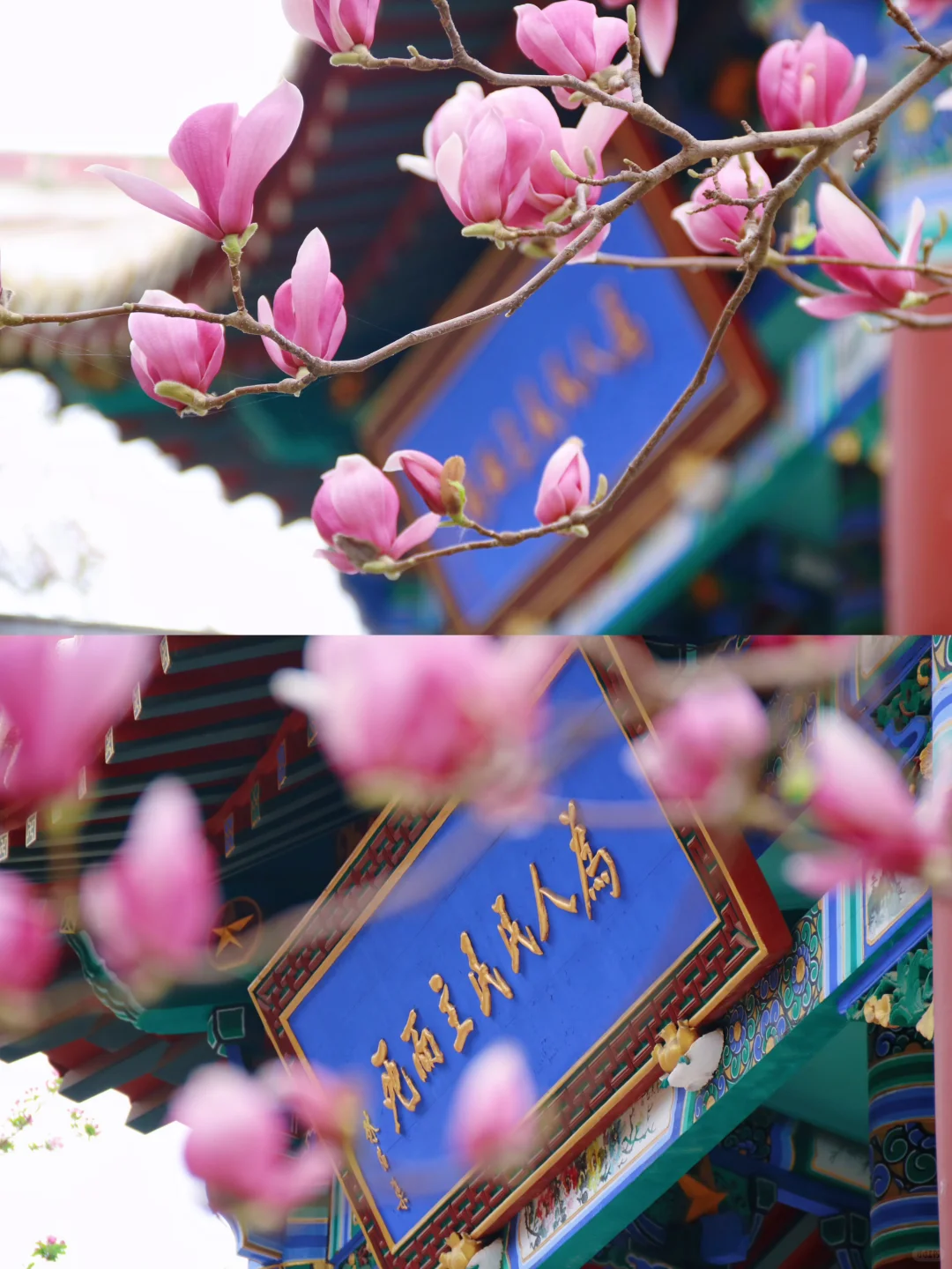 邯郸只有这里配的上“春和景明”