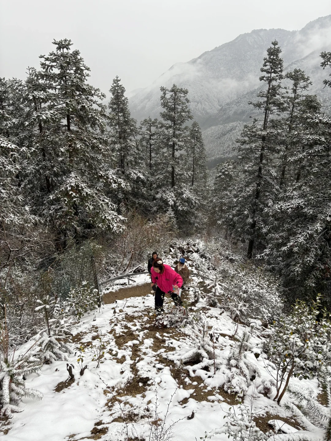 🏔️瑶里下雪啦❄️(๑･ω･)