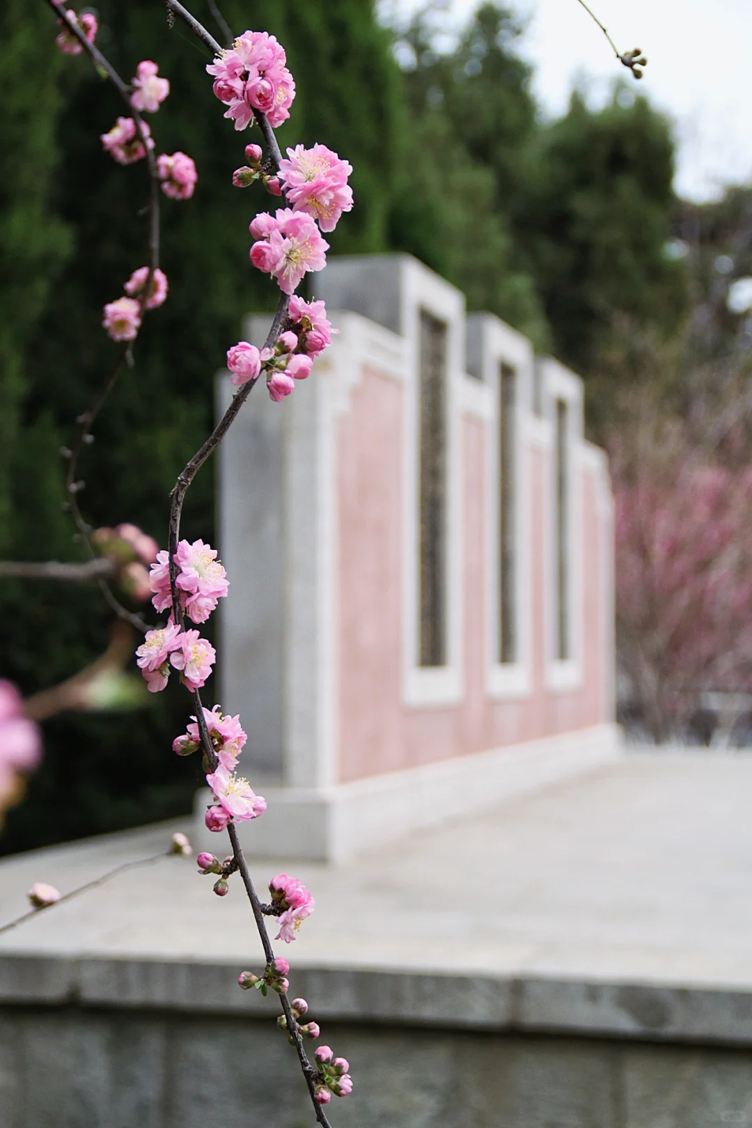 邯郸只有这里配的上“春和景明”