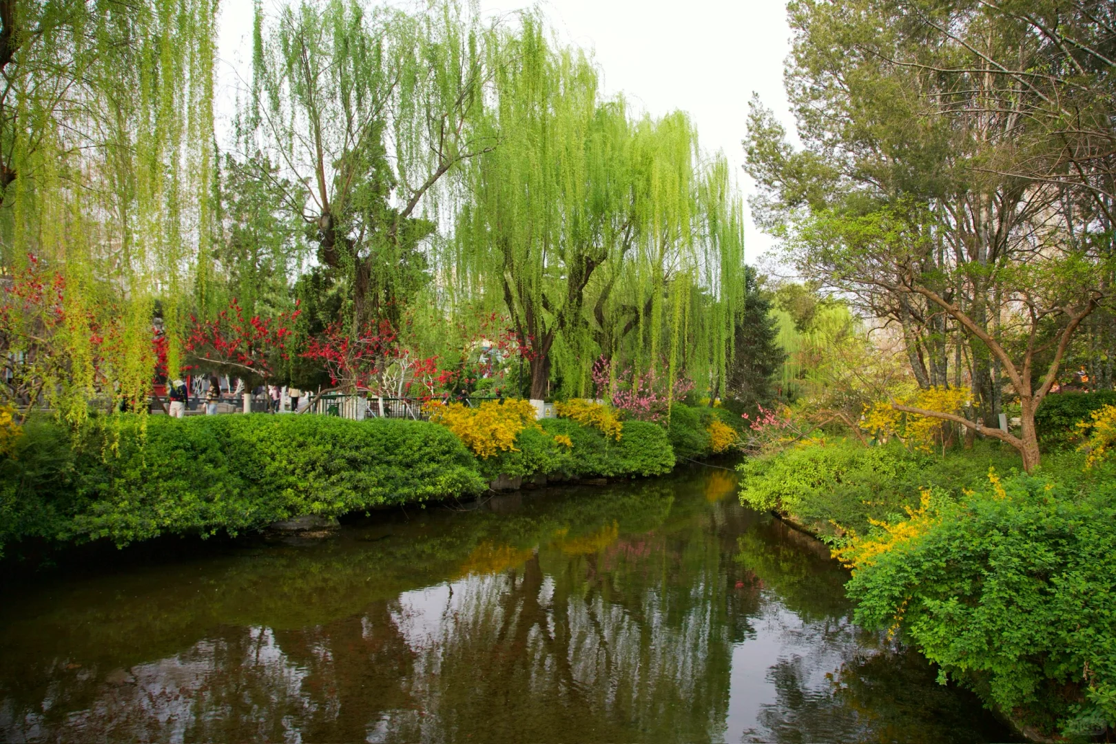 ❤️你好，趵突泉！