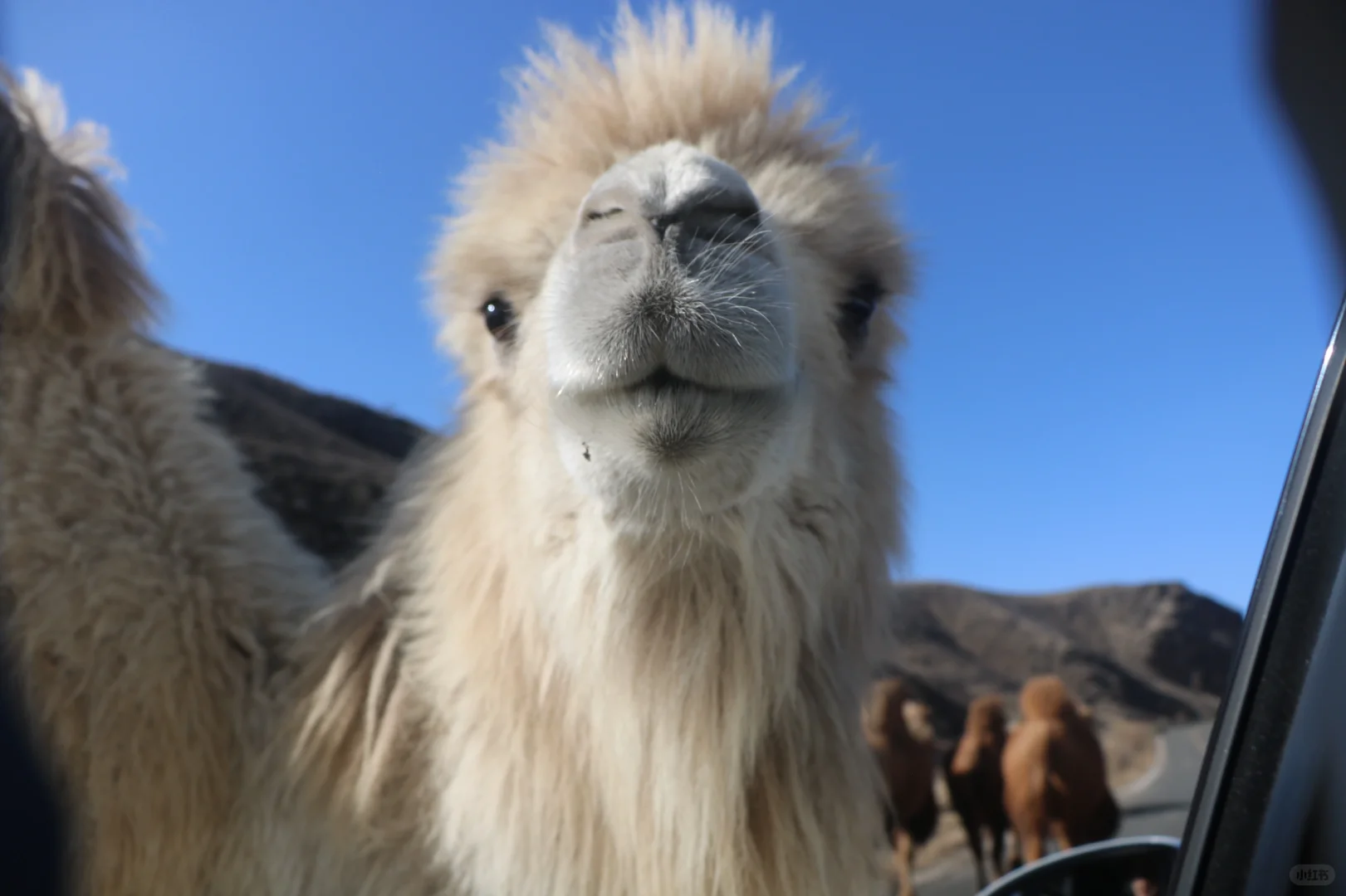 内蒙古太美啦🥰