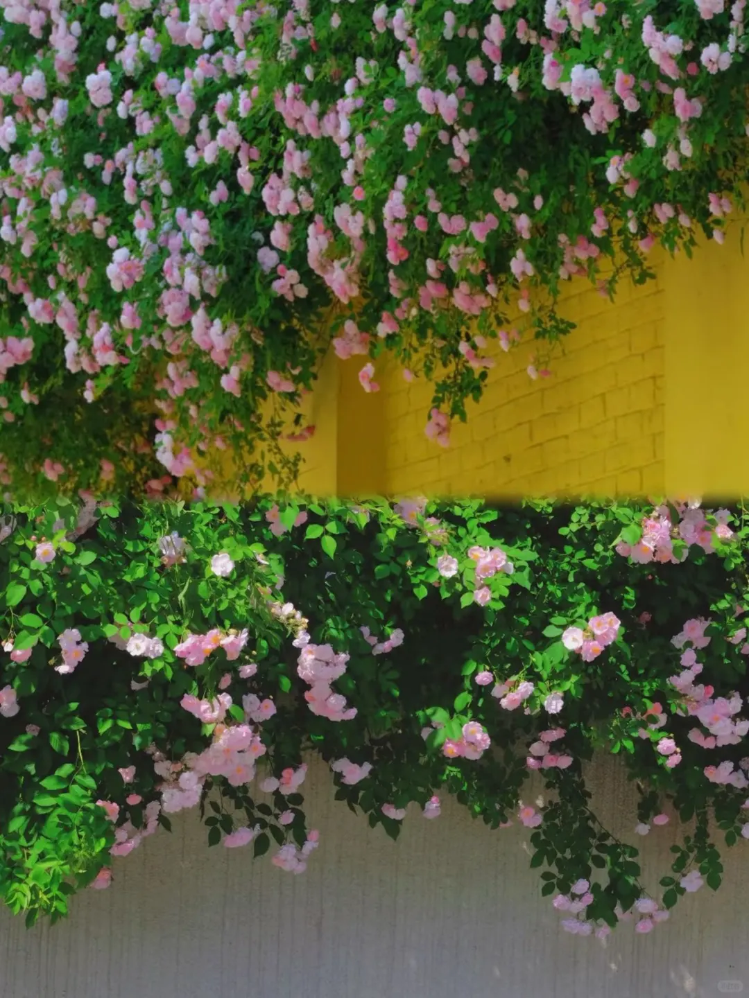 南京一日游 | 小众景点大赏,拒绝人挤人!