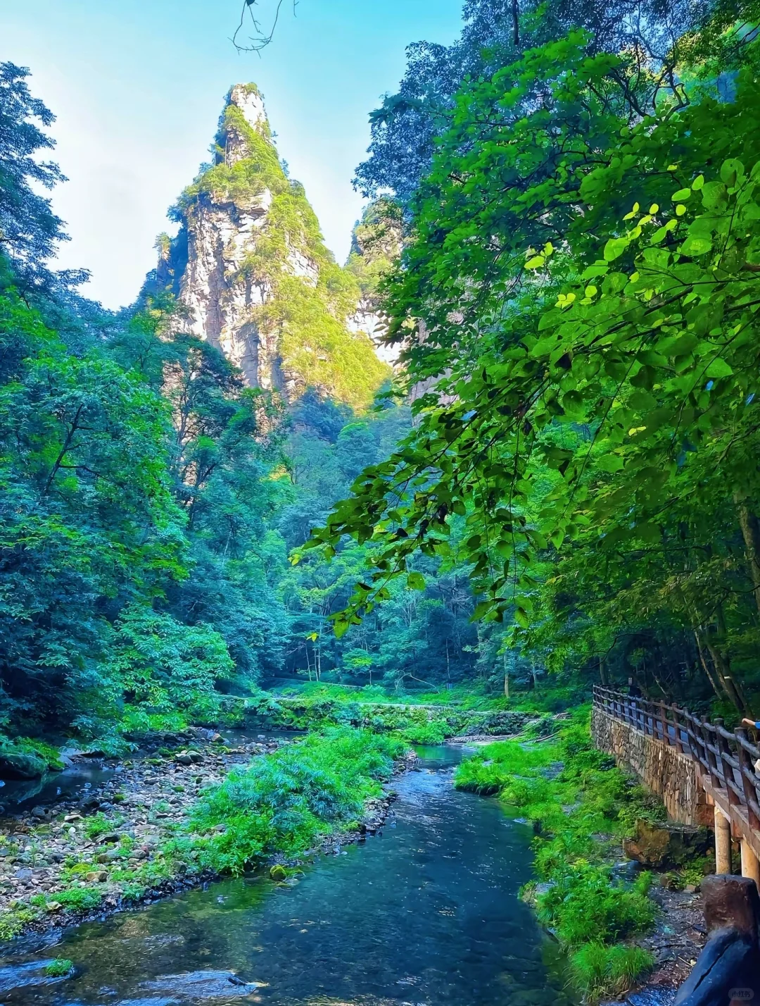 🌄张家界武陵源“人间仙境”🌄