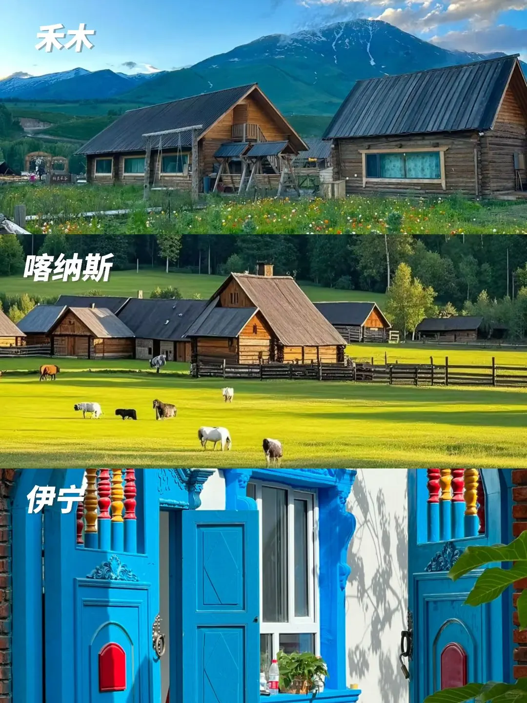 新疆旅行 | 北疆环线包车游🎈路线建议