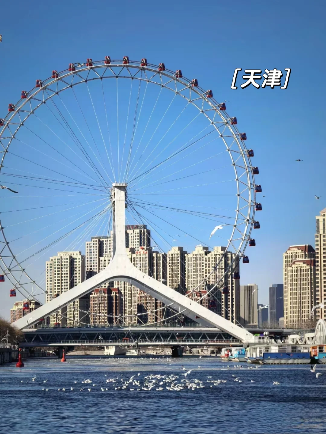 ‼️邯郸石家庄出发丨春天🌸出游好去处