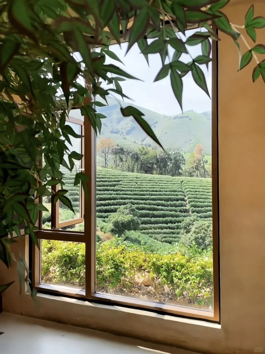 广东小瑞士🇨🇭跟家人来住了三次😭不想走