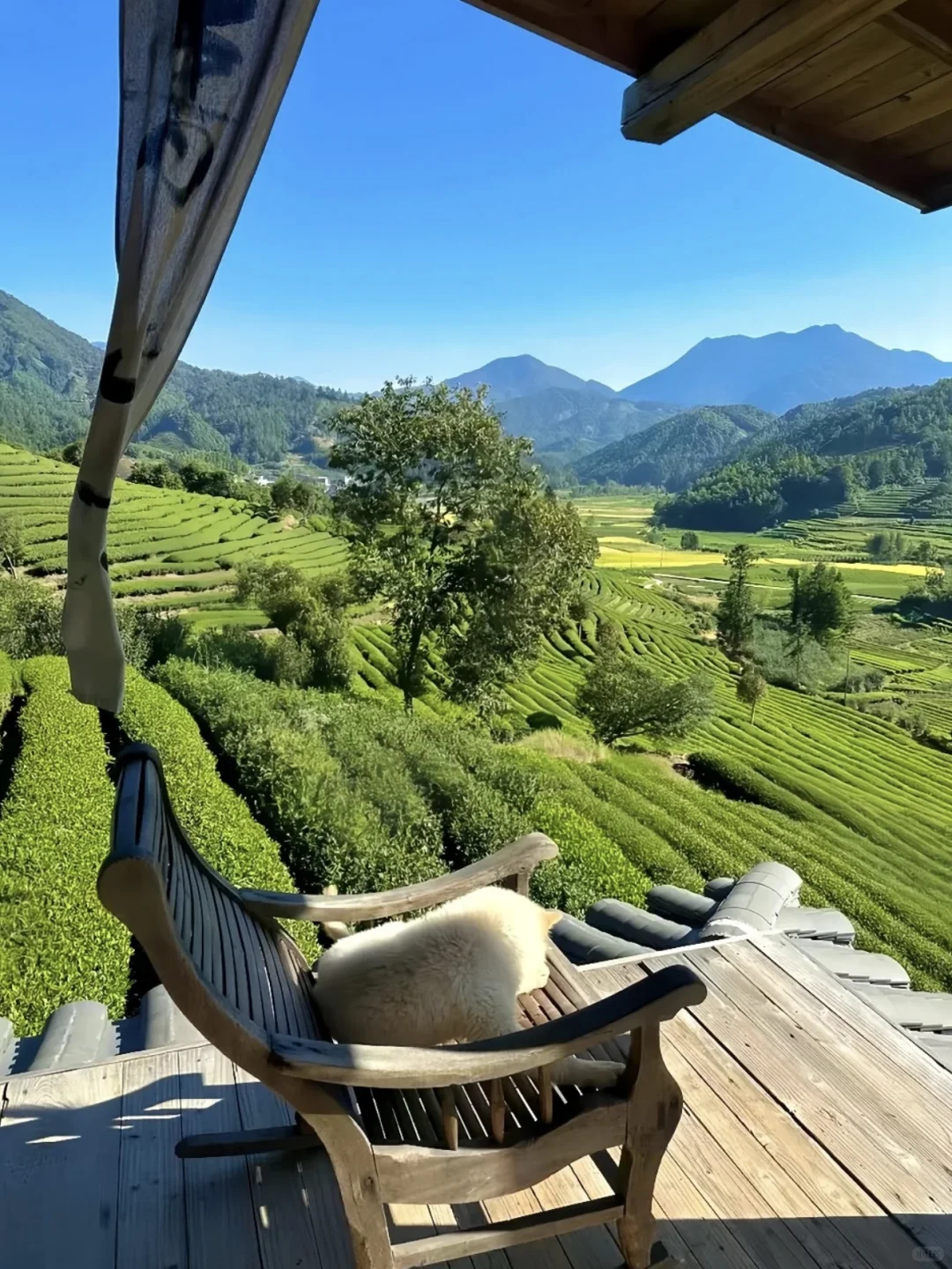 广东小瑞士🇨🇭跟家人来住了三次😭不想走