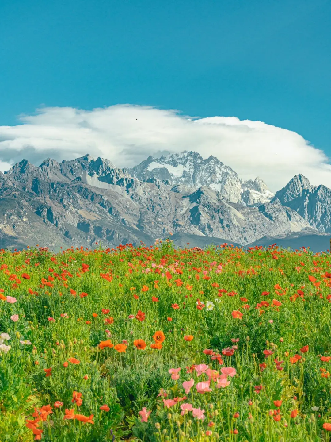 丽江小众打卡地❗打工人去班味的乌托邦🎪