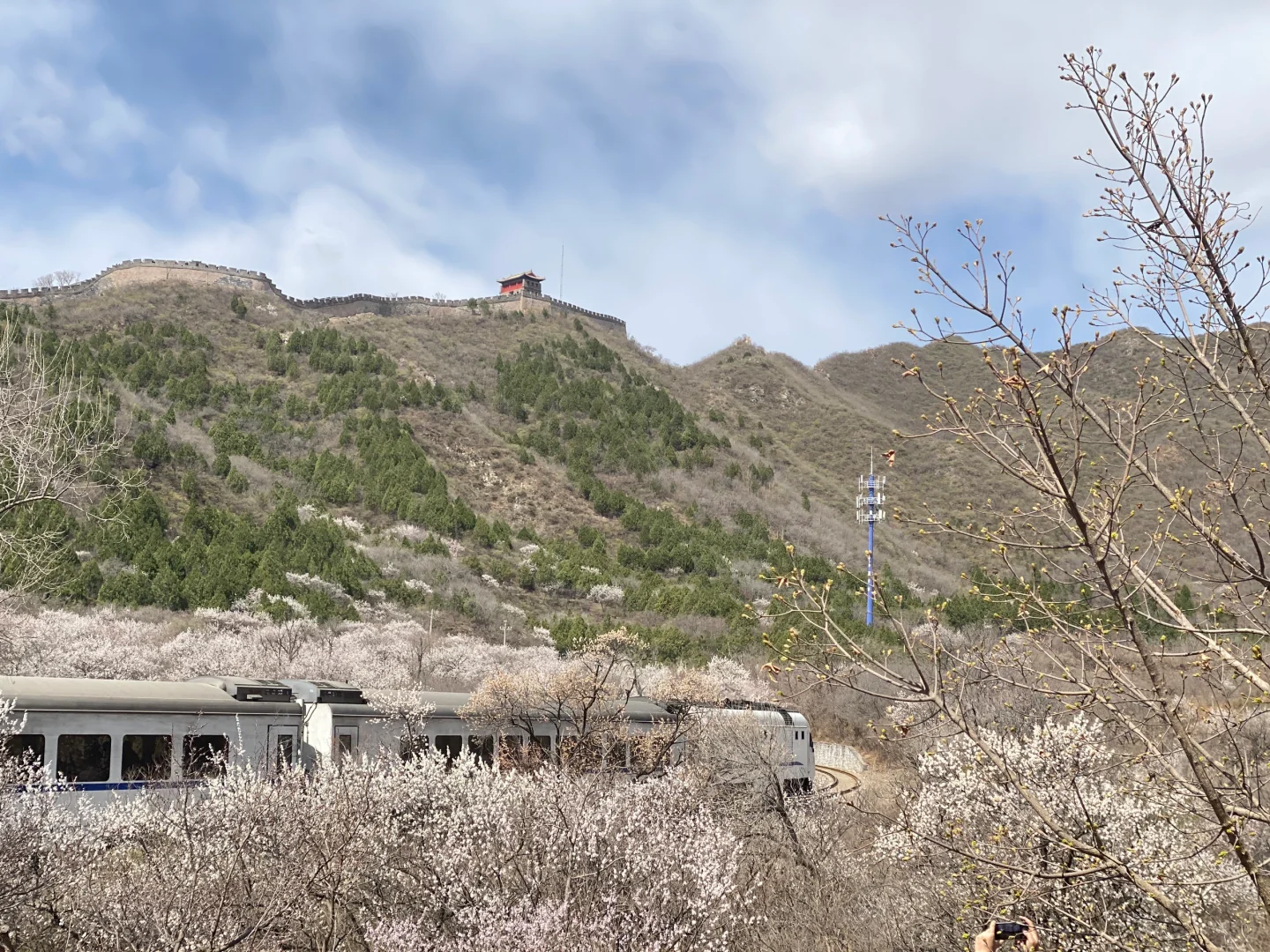 居庸关花海小火车手机原图直出03/29