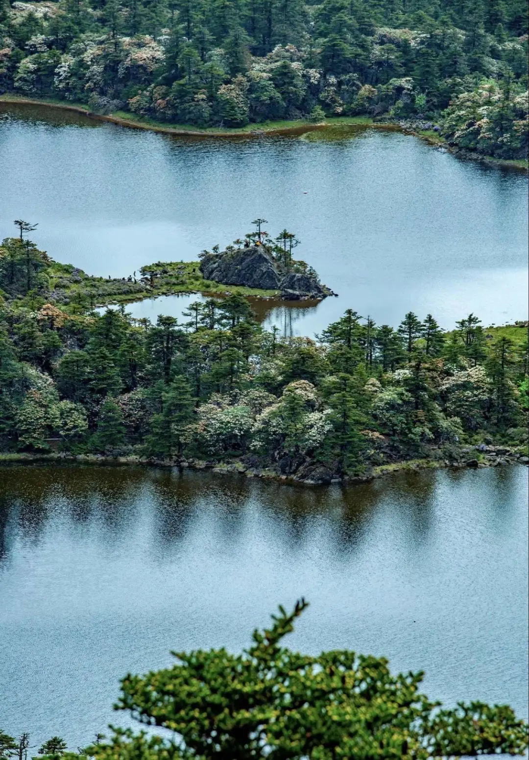 丽江小众打卡地❗打工人去班味的乌托邦🎪